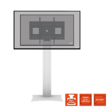 Celexon Display-Ständer Fixed-42100P Monitorständer, (bis 100 Zoll, max VESA 800 x 600, silber)