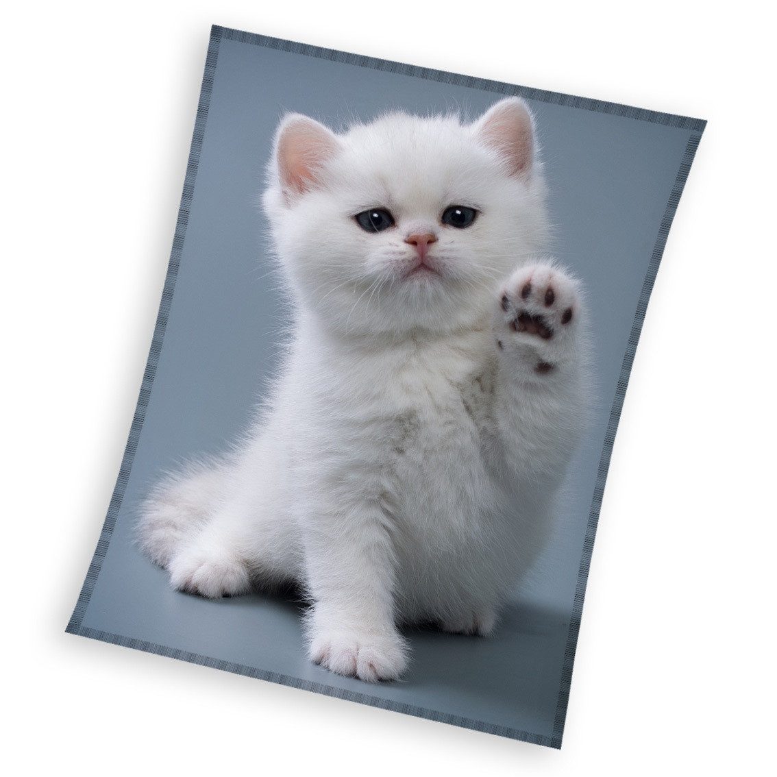 Wohndecke Katze Fleecedecke Kuscheldecke 150 x 200 cm, Carbotex günstig online kaufen