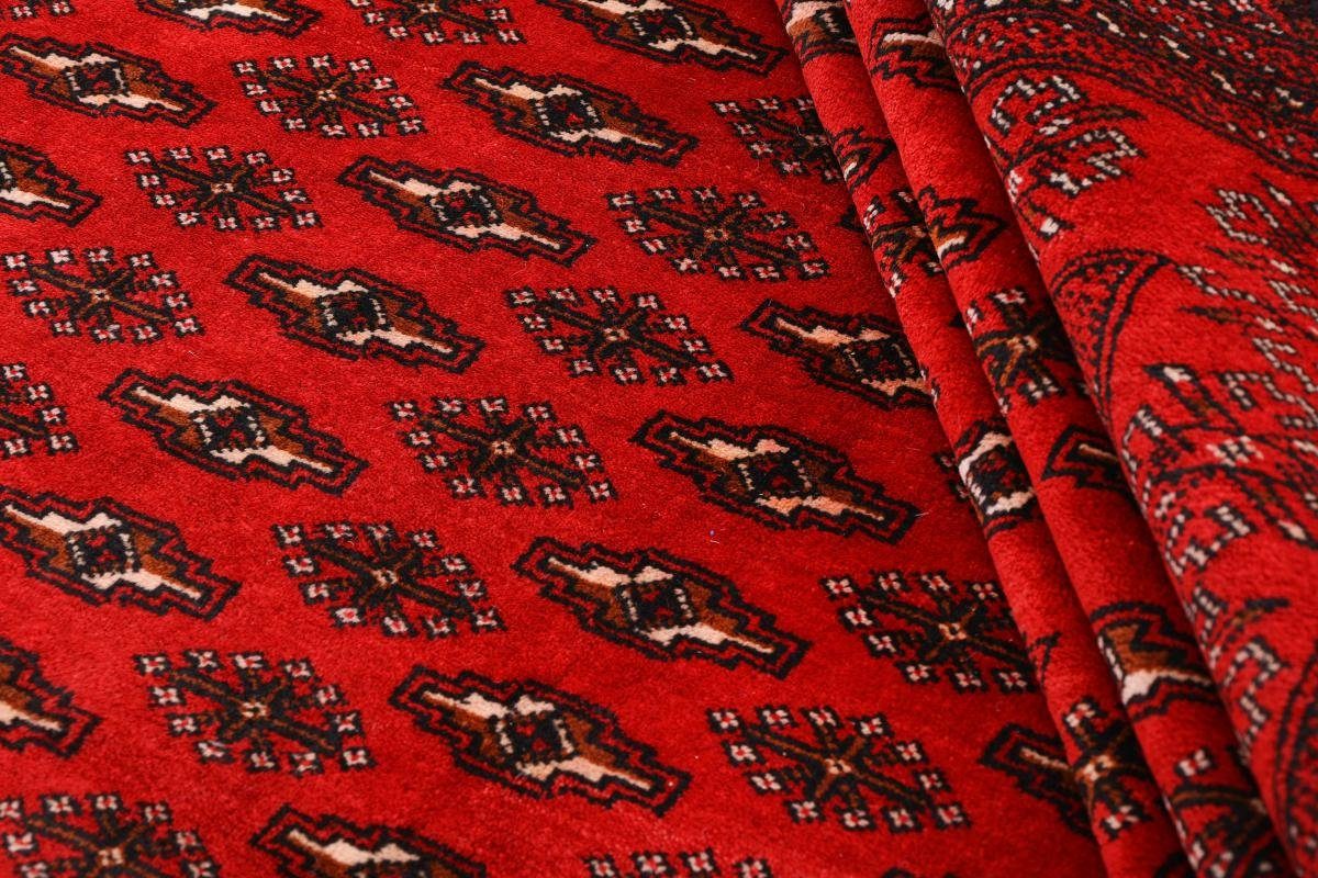 Orientteppich Turkaman 312x380 Handgeknüpfter Orientteppich / mm Trading, Höhe: rechteckig, 6 Nain Perserteppich