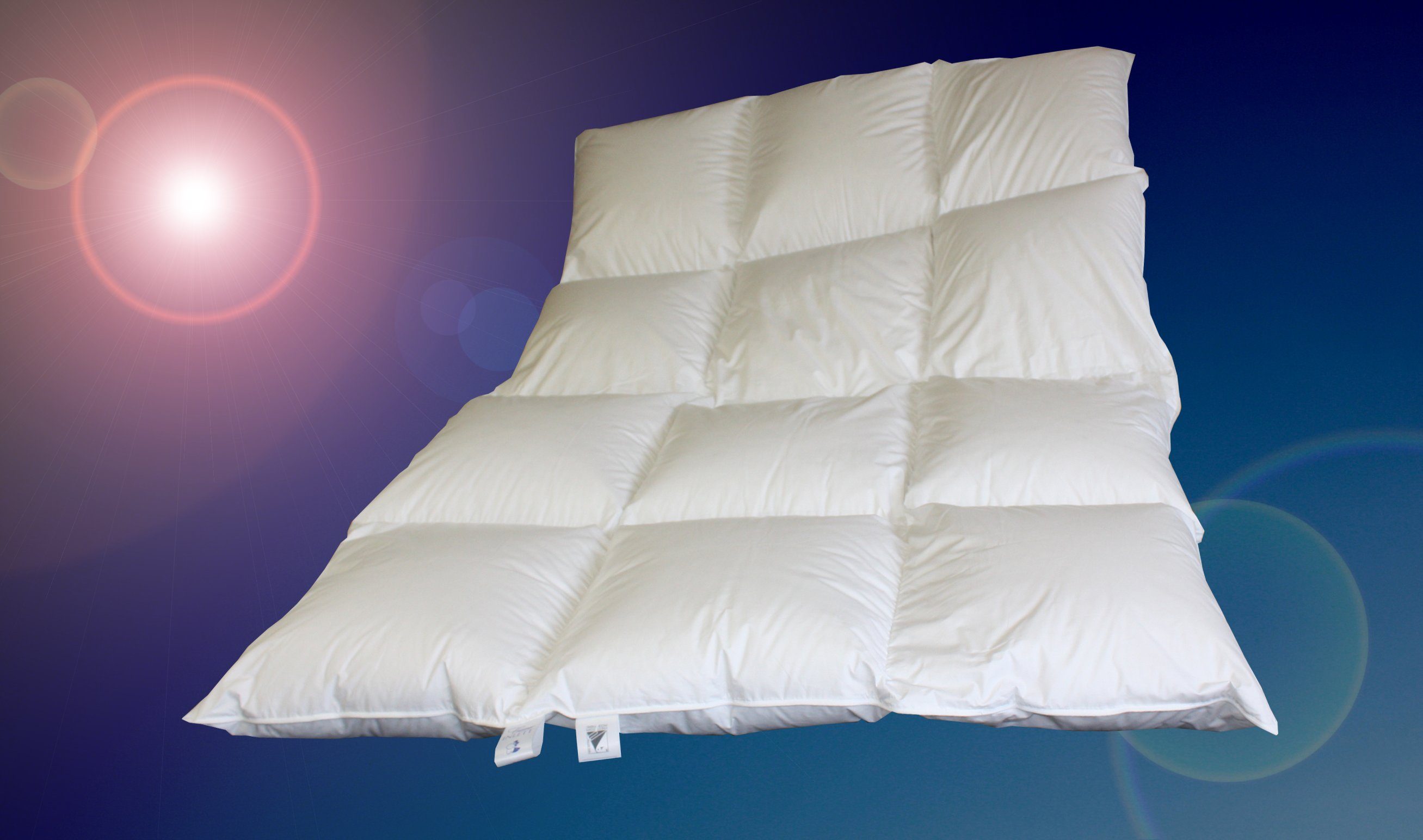 Betten Hofmann Daunenbettdecke Betten Hofmann Luxus 8cm Hochsteg Kassetten günstig online kaufen