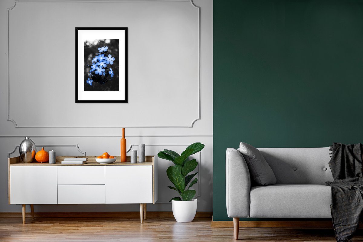 Blau, Gerahmtes Blumen Bilderrahmen mit Poster, MuchoWow Kunstdruck, Schwarz Weiß - St), (1 - - Poster Schwarzem Rahmen,