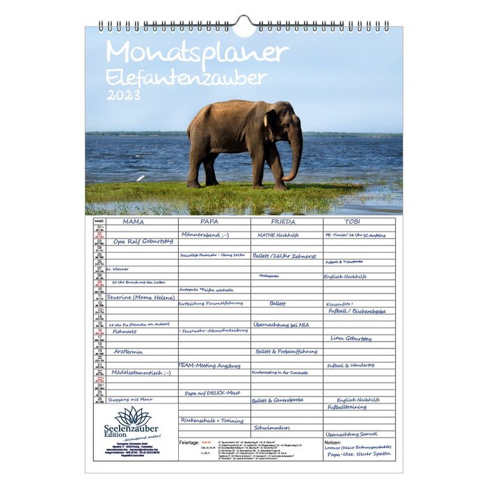 Seelenzauber Wandkalender Wandplaner Familienplaner 4 Spalten - Elefantenzauber DIN A3 Kalender