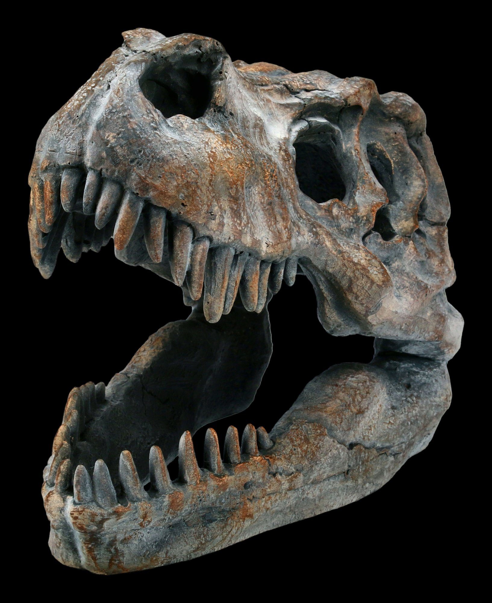 Figuren Shop GmbH Dekofigur Totenkopf - Tyrannosaurus Rex - klein - Deko T-Rex