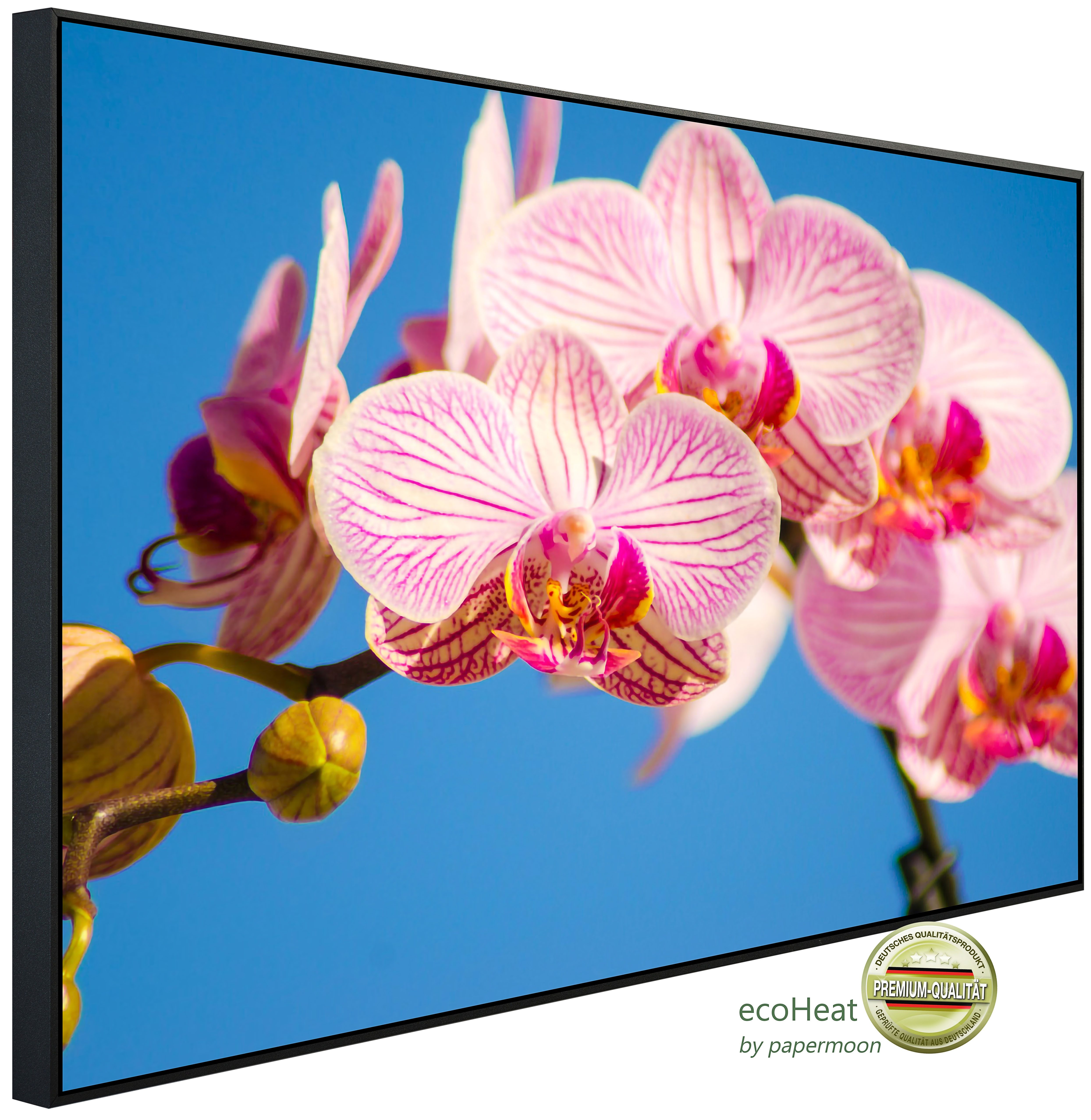 Papermoon Infrarotheizung INFRAROT-BILD-HEIZUNG, Rosa Phalaenopsis Orchidee, TÜV-Rheinland/GS zertifiziert, angenehme Strahlungswärme