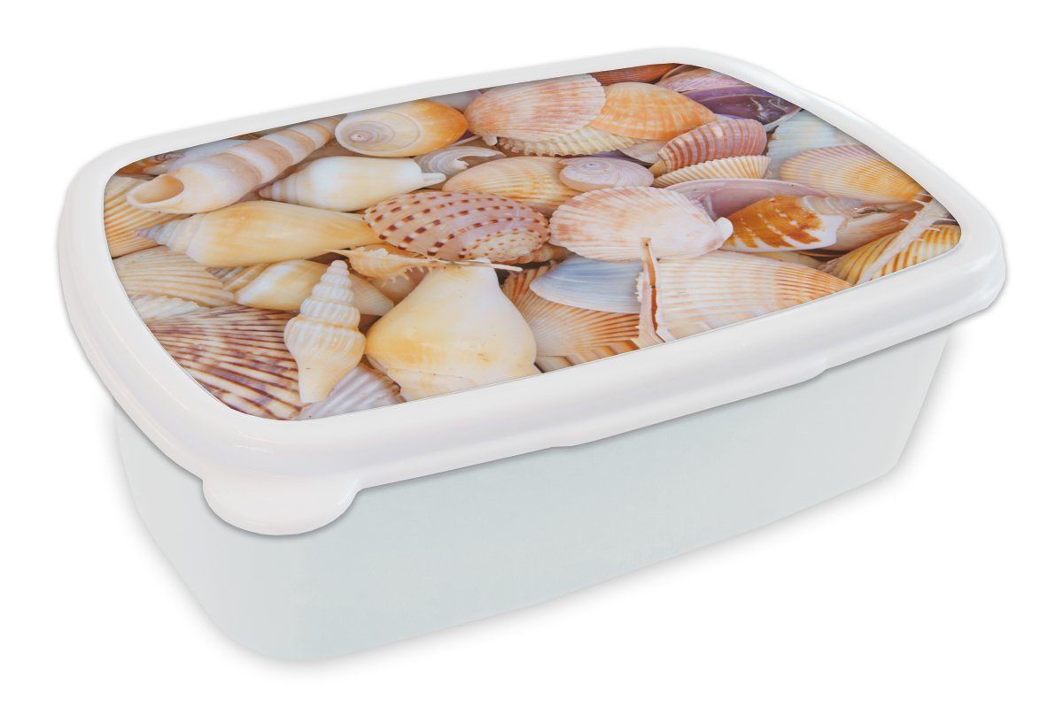 MuchoWow Lunchbox Muscheln - Strand - Sommer - Orange, Kunststoff, (2-tlg), Brotbox für Kinder und Erwachsene, Brotdose, für Jungs und Mädchen weiß