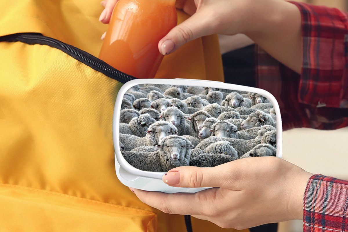 MuchoWow Lunchbox Tiere Jungs und Schafsfell, (2-tlg), und - für - Kinder Mädchen weiß für Brotbox Brotdose, Kunststoff, Erwachsene, Schafe