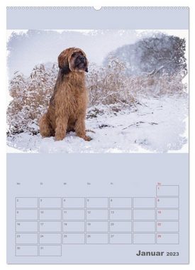 CALVENDO Wandkalender Hunde in Aquarell - Jahresplaner (Premium, hochwertiger DIN A2 Wandkalender 2023, Kunstdruck in Hochglanz)