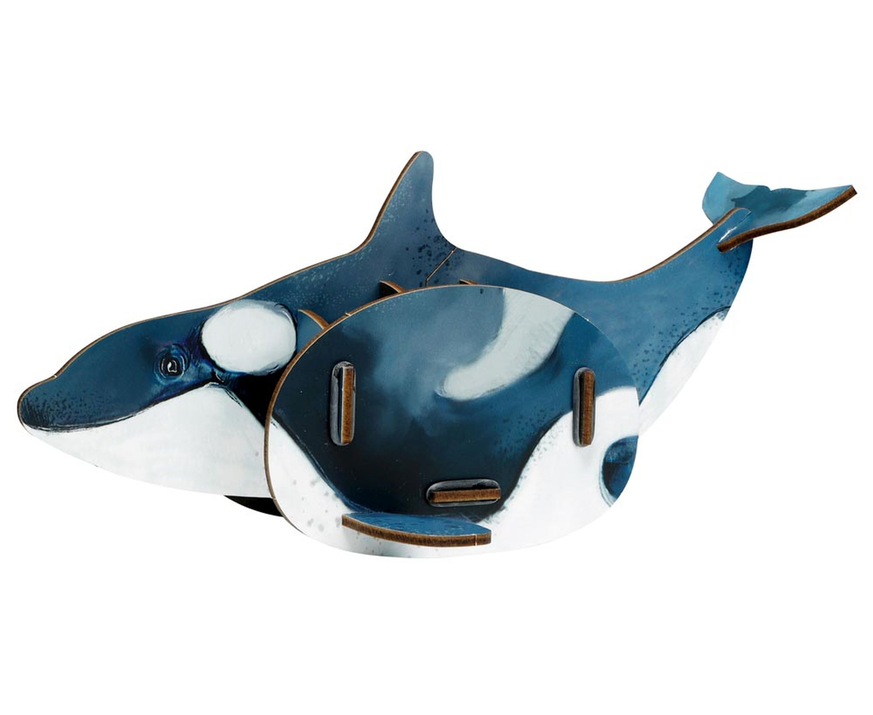 WERKHAUS® Aufbewahrungsbox Werkhaus - Stiftebox "Orca" Stiftehalter Stifteköcher Wal Fisch WE2070