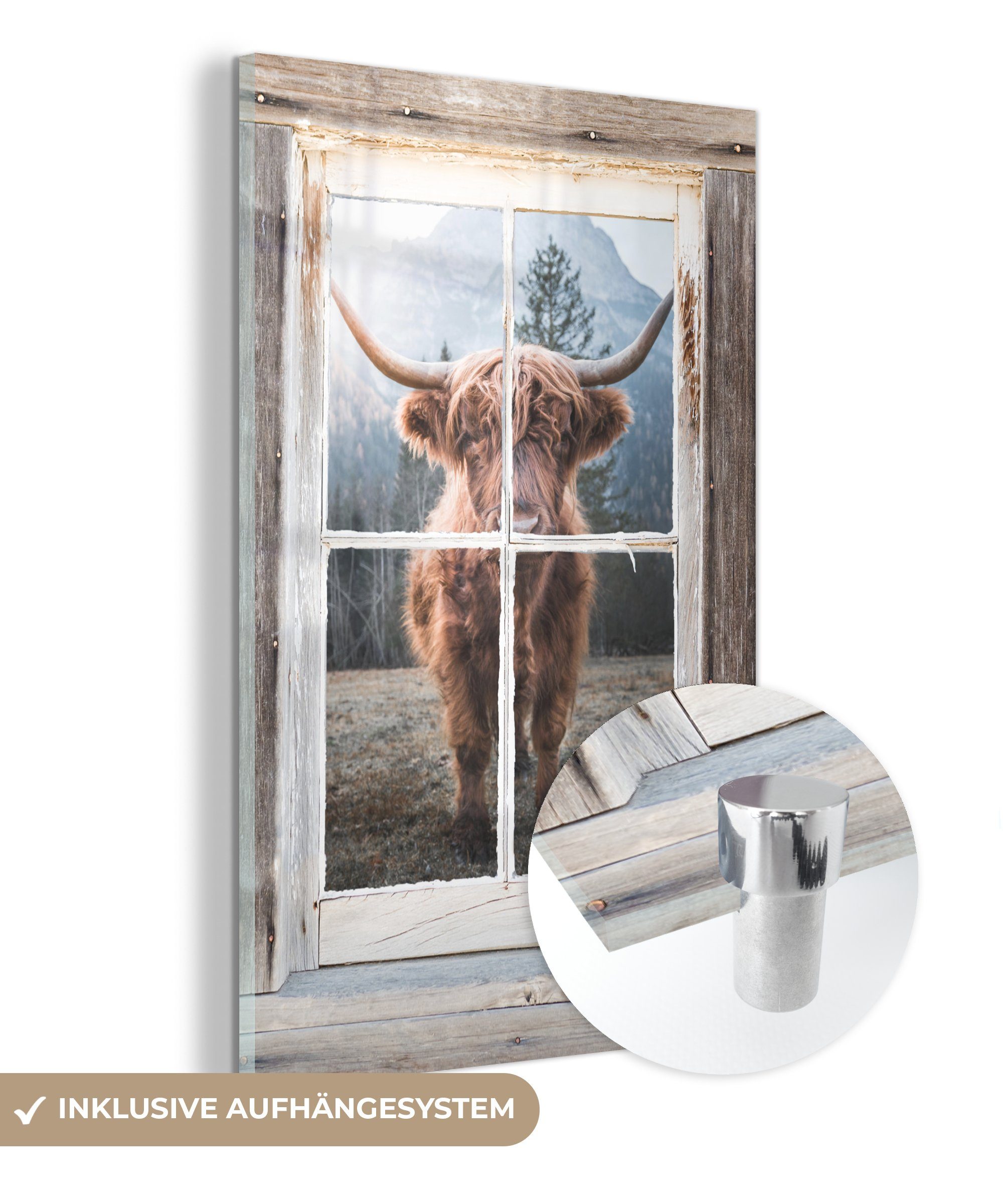 - Schottischer Acrylglasbild Ansicht, (1 Kuh St), Wanddekoration auf Highlander Glas Bilder - MuchoWow auf Foto - - Wandbild Glasbilder - Glas