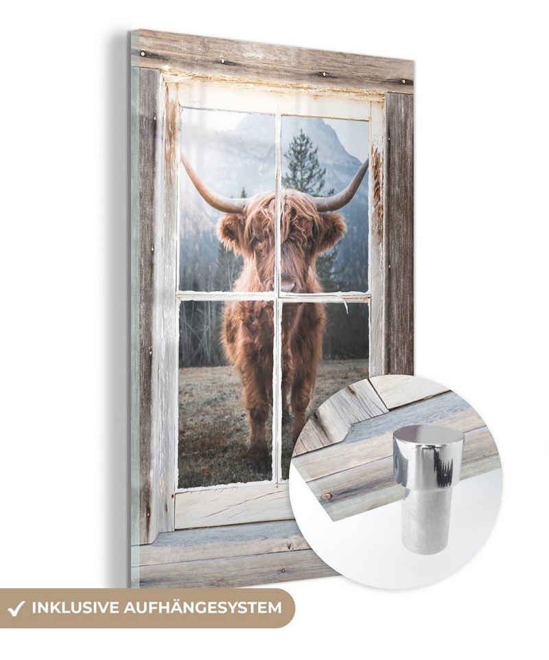 MuchoWow Acrylglasbild Schottischer Highlander - Kuh - Ansicht, (1 St), Glasbilder - Bilder auf Glas Wandbild - Foto auf Glas - Wanddekoration