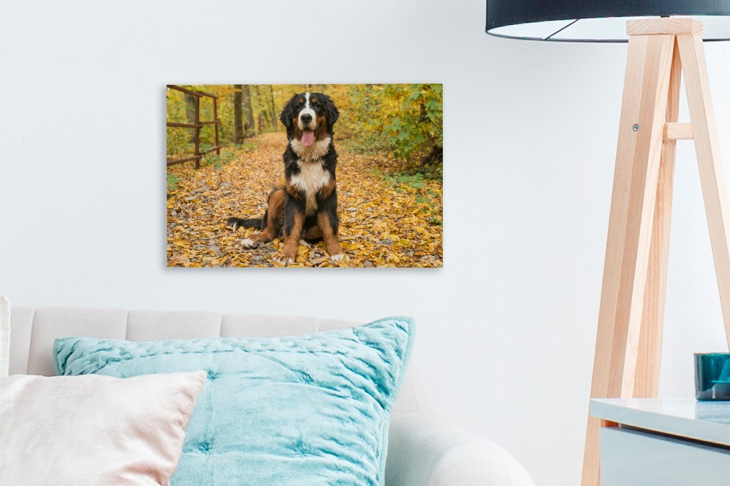 Leinwandbilder, Wanddeko, (1 Aufhängefertig, Ein Herbstlaub, Wandbild OneMillionCanvasses® Berner Sennenhund schönem Leinwandbild cm 30x20 St), mit