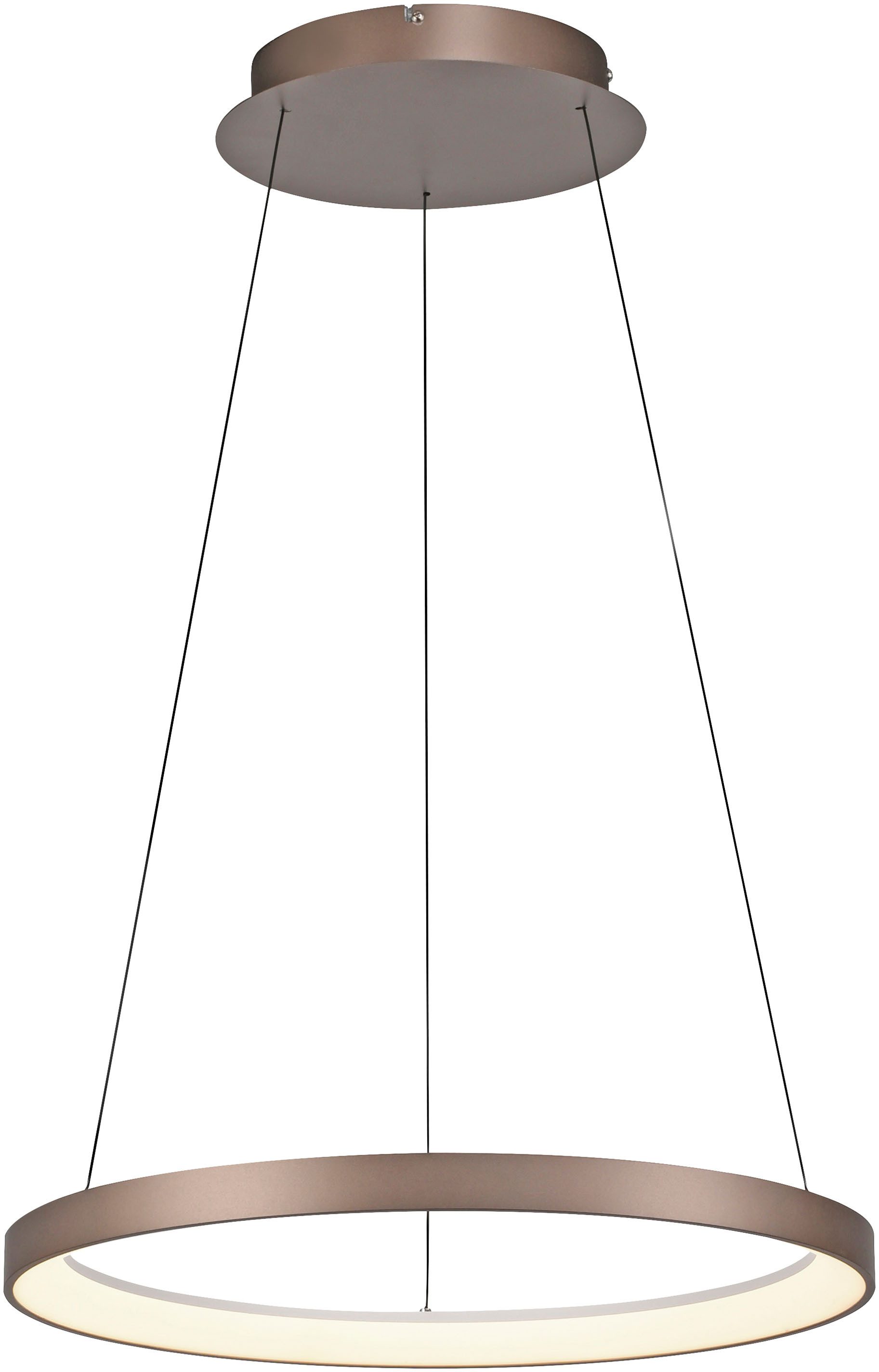 Paul Neuhaus Pendelleuchte HOOP, Dimmfunktion, LED fest integriert, Warmweiß, LED, dimmbar, Simply Dim, Memory, nach Trennung vom Netz, Comfort Lift