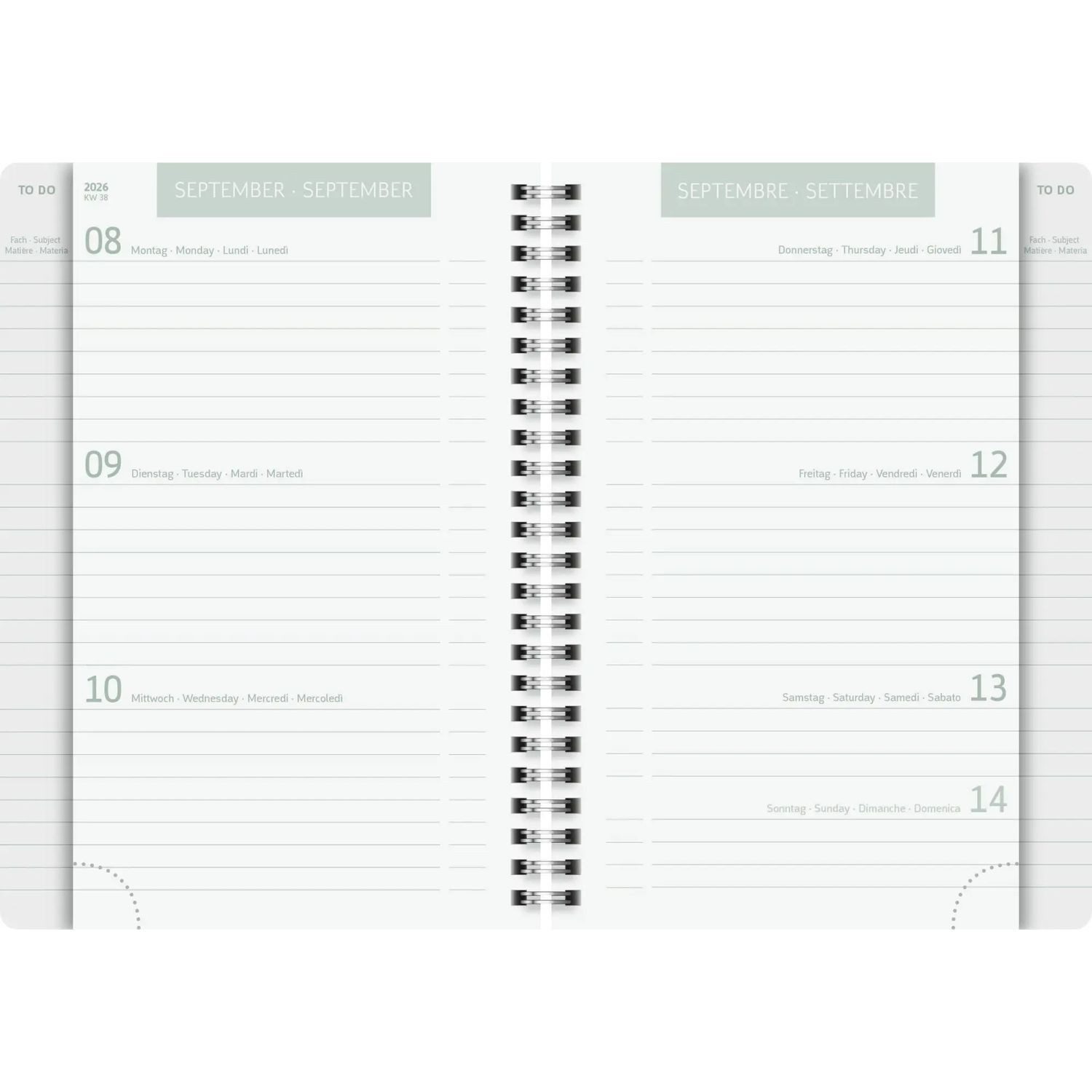 Baier & Schneider Schülerkalender Schülerkalender 2026/2027 "Hearts", A5, Kunststoff