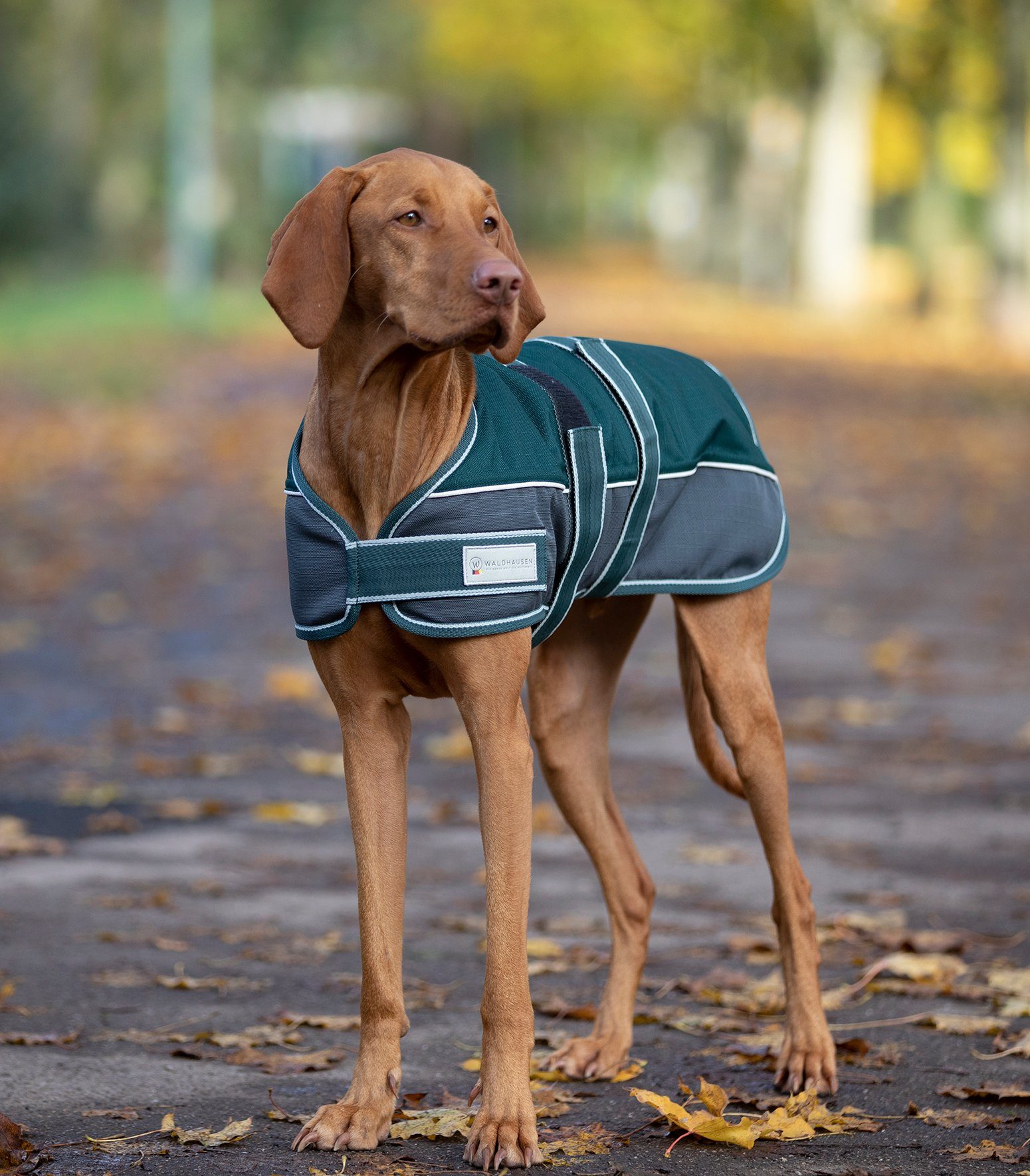 Waldhausen Hundemantel Waldhausen Hundedecke Comfort Line 200 g