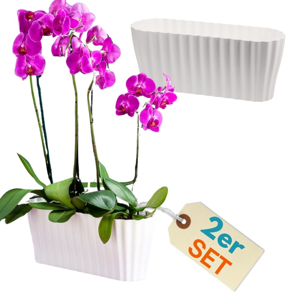 GarPet Blumentopf 2er Set Orchideentopf Kunstoff Elegant Orchideen Über Pflanz groß weiß
