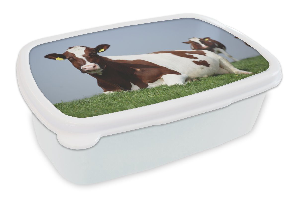 - und Kühe Jungs und für Erwachsene, Kinder Lunchbox für (2-tlg), Brotbox MuchoWow Mädchen Friesland, Gras - Brotdose, weiß Kunststoff,