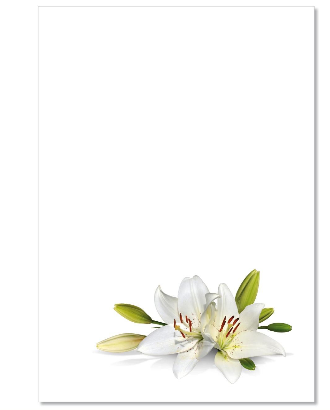 Briefpapier Motivpapier Blumenvielfalt,Blumen DIN A4, gut beschreibbar