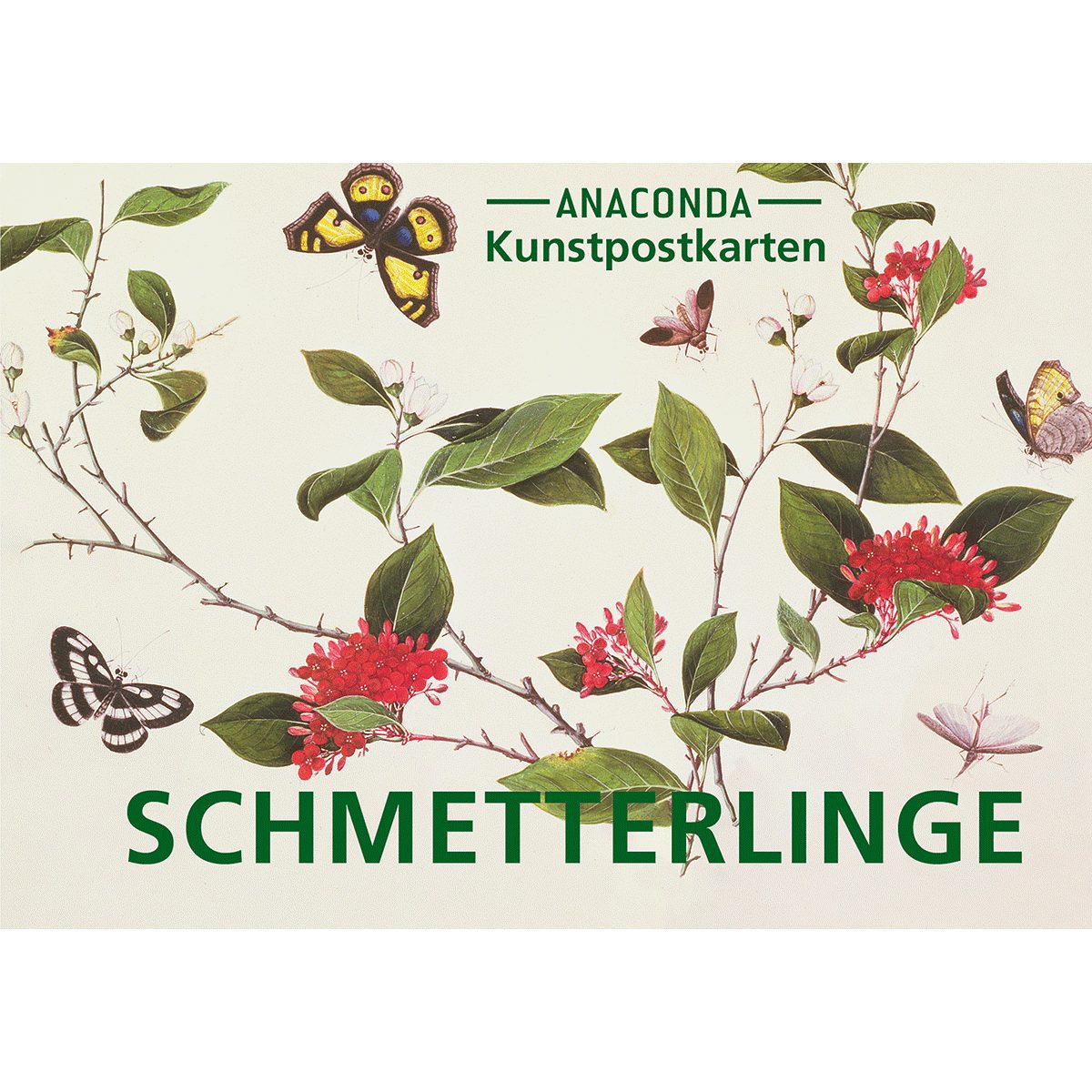 Anaconda Verlag Grußkarte Postkarten-Set Schmetterlinge: 18 Kunstpostkarten aus hochwertigem