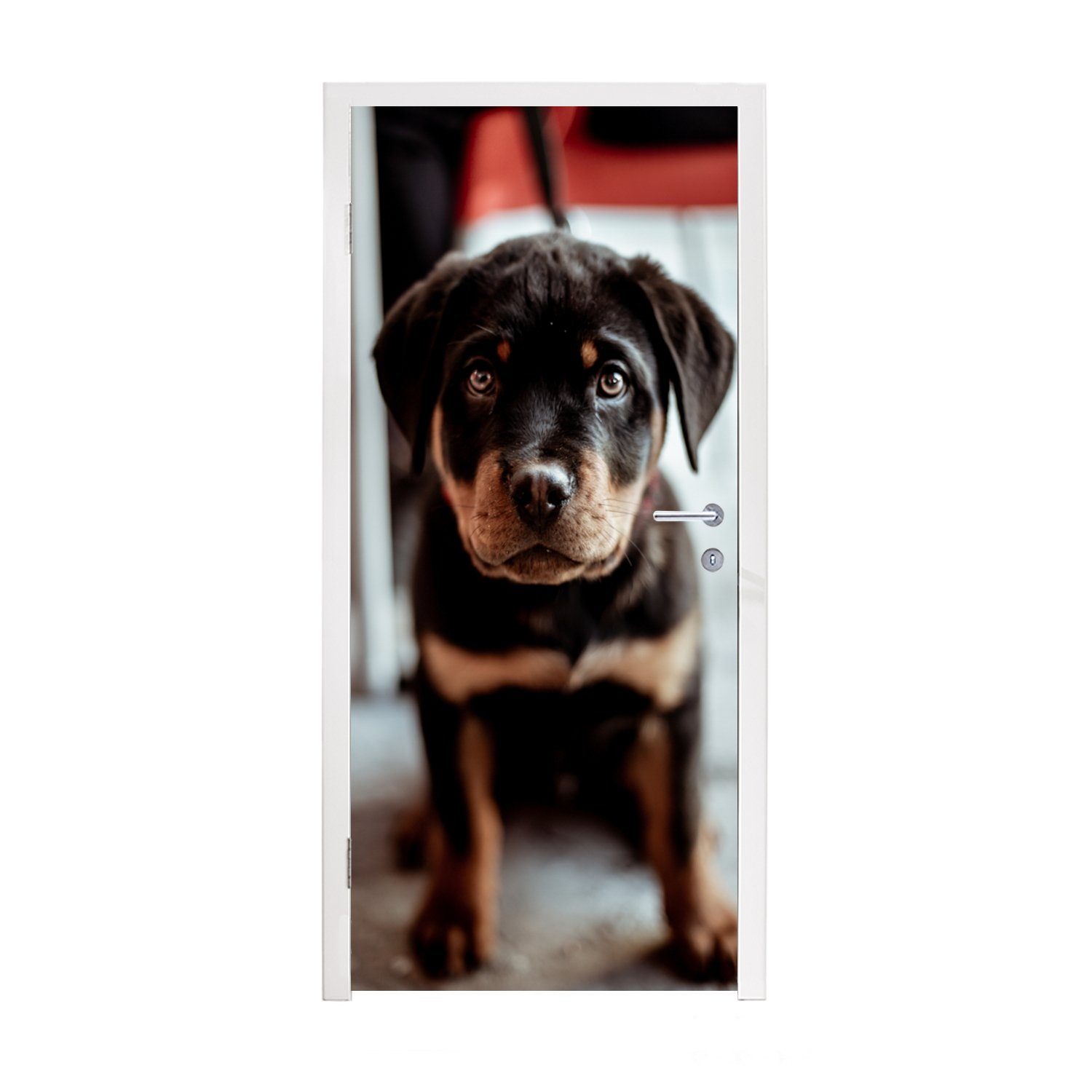MuchoWow Türtapete Jung - Hund - Kamera, Matt, bedruckt, (1 St), Fototapete für Tür, Türaufkleber, 75x205 cm