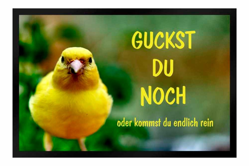 Ladreas Fußmatte Schmutzfangmatte Guckst du noch Vogel F545, 60x40 günstig online kaufen