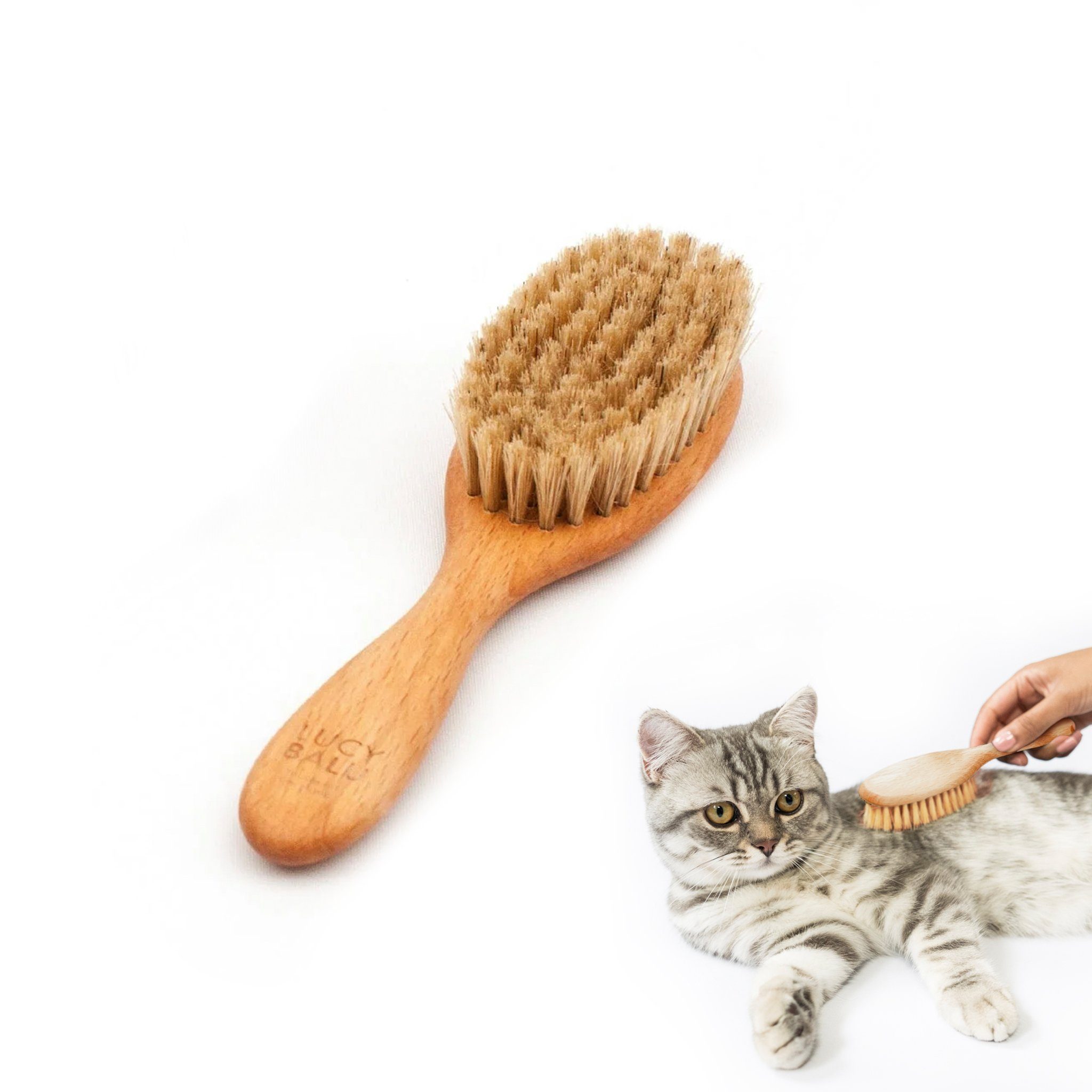 LucyBalu Katzenliege FIGARO für Katzen, für günstig online kaufen