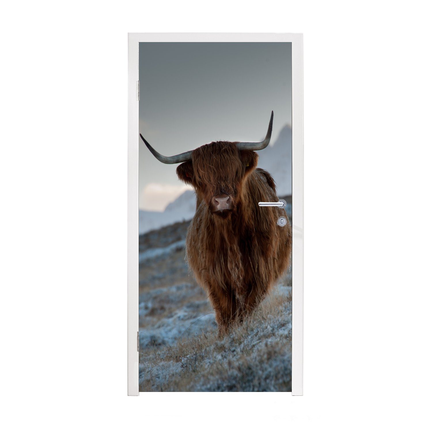 MuchoWow Türtapete Schottischer Hochländer - Landschaft - Schottland, Matt, bedruckt, (1 St), Fototapete für Tür, Türaufkleber, 75x205 cm