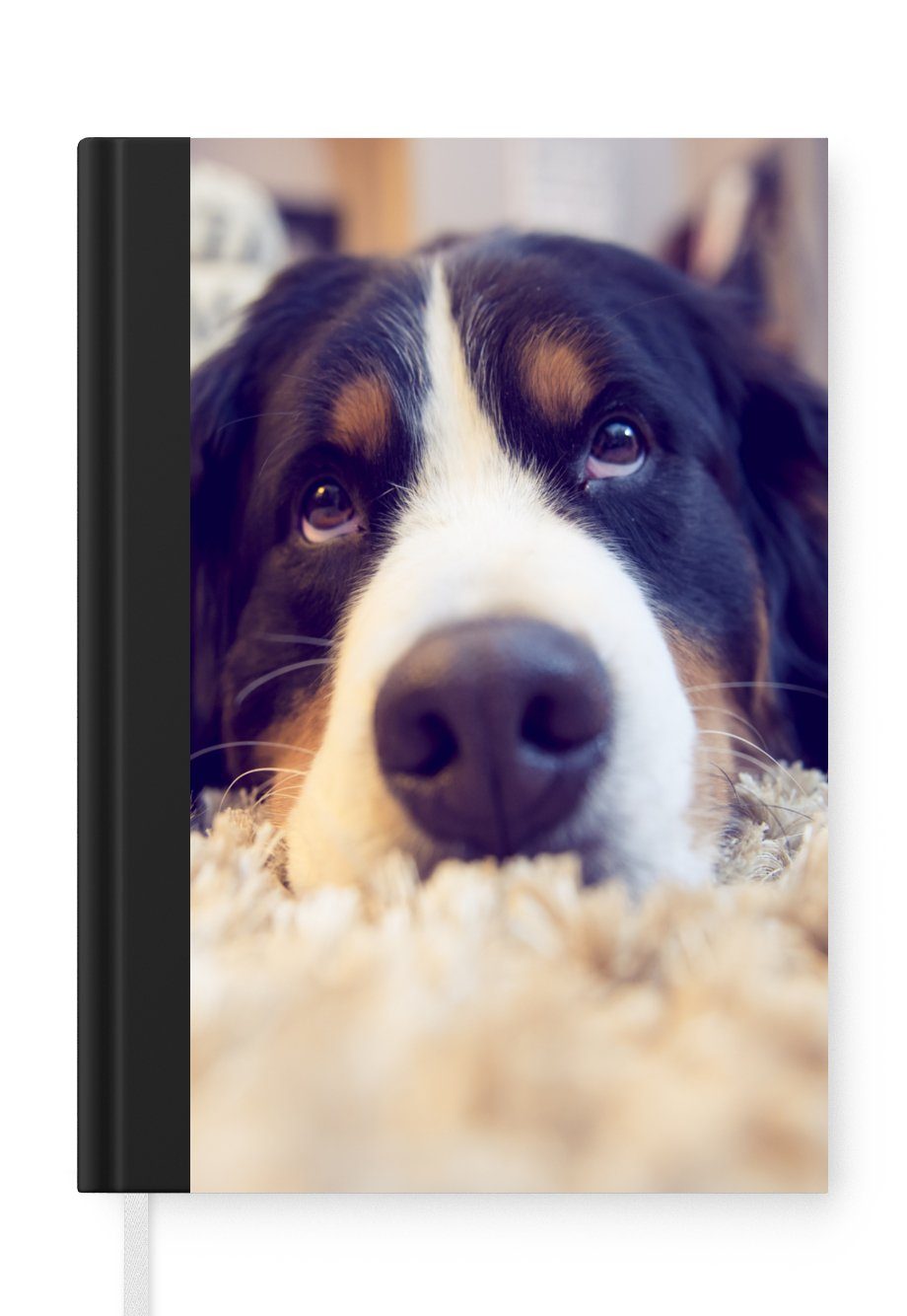 MuchoWow Notizbuch Berner Sennenhund auf einem weichen Teppich liegend, Journal, Merkzettel, Tagebuch, Notizheft, A5, 98 Seiten, Haushaltsbuch