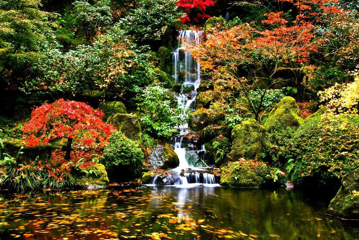 Japanischen Papermoon garten in Fototapete Wasserfall