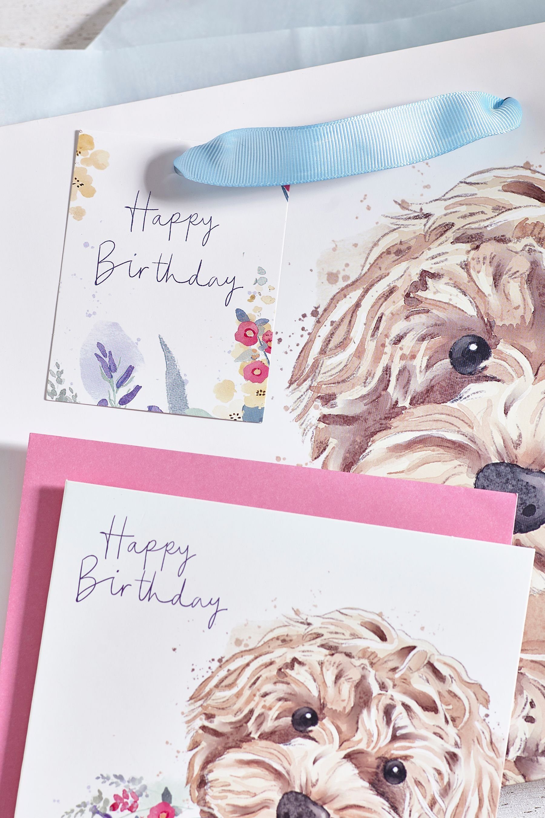 Next Geschenkpapier Geschenktasche und Karte im Set Cockapoo, (1St)