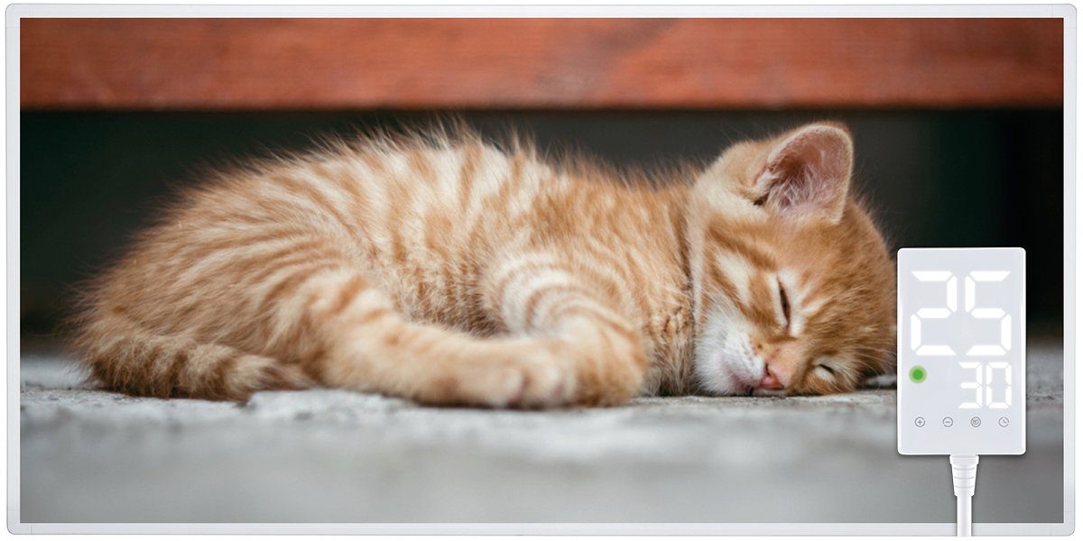 Heidenfeld Infrarotheizung HF-HP105 Katze Elektroheizung inkl. Thermostat, günstig online kaufen