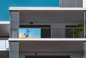 MuchoWow Balkonsichtschutz Schmetterling - Löwenzahn - Blau (1-St) Balkonbanner, Sichtschutz für den Balkon, Robustes und wetterfest