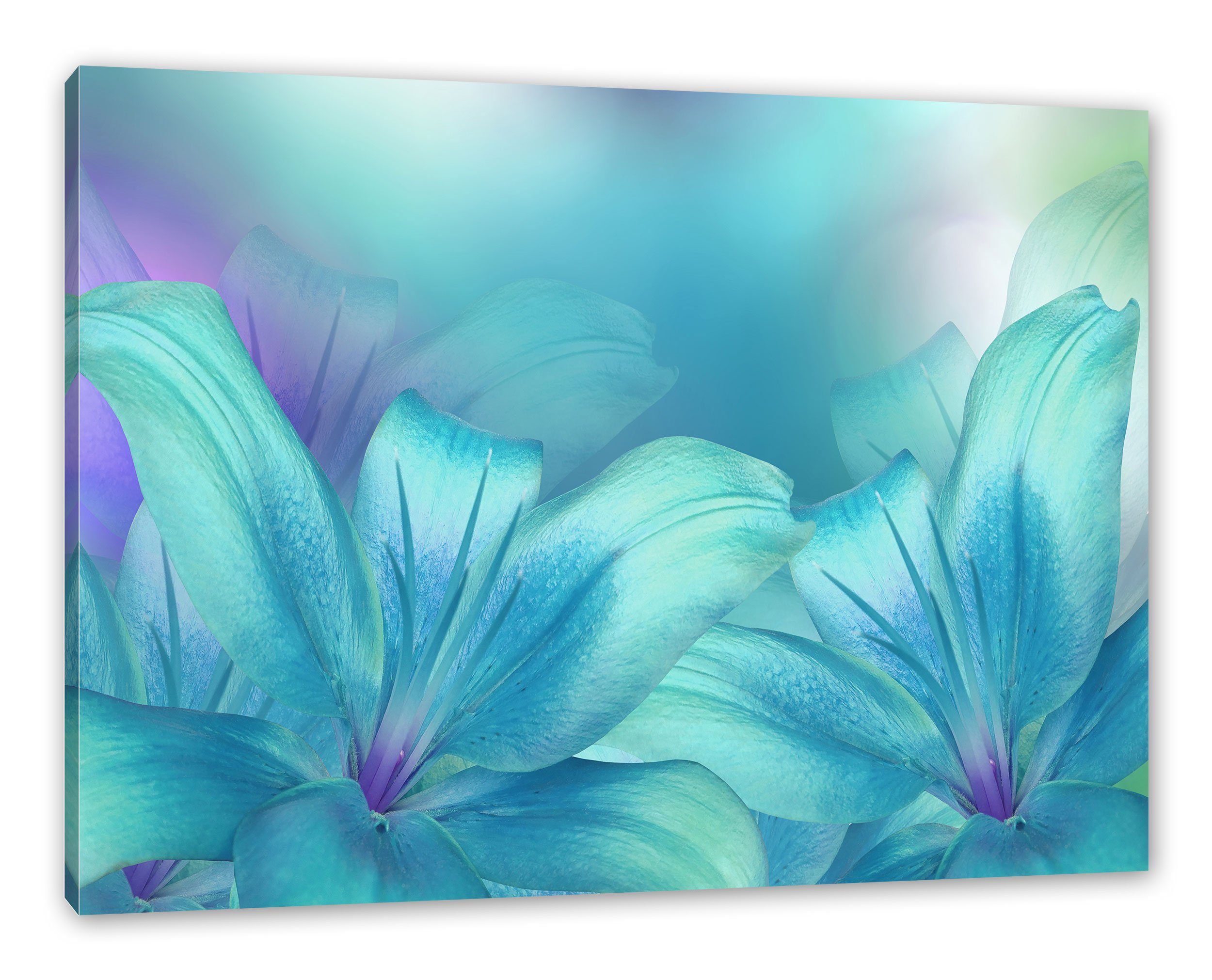 Pixxprint Leinwandbild türkise Lilien, türkise Lilien (1 St), Leinwandbild fertig bespannt, inkl. Zackenaufhänger