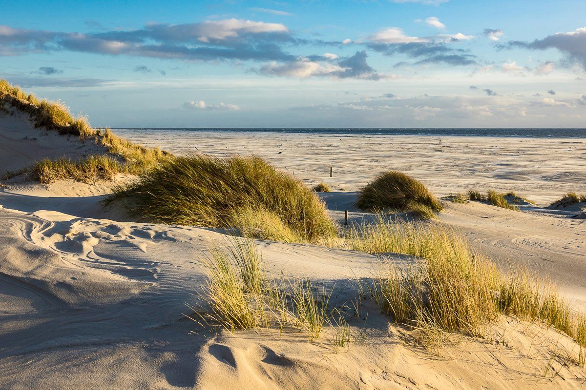 Papermoon Fototapete DÜNEN-AMRUM NORDSEE STRAND MEER INSEL HOLSTEIN GRAS XXL