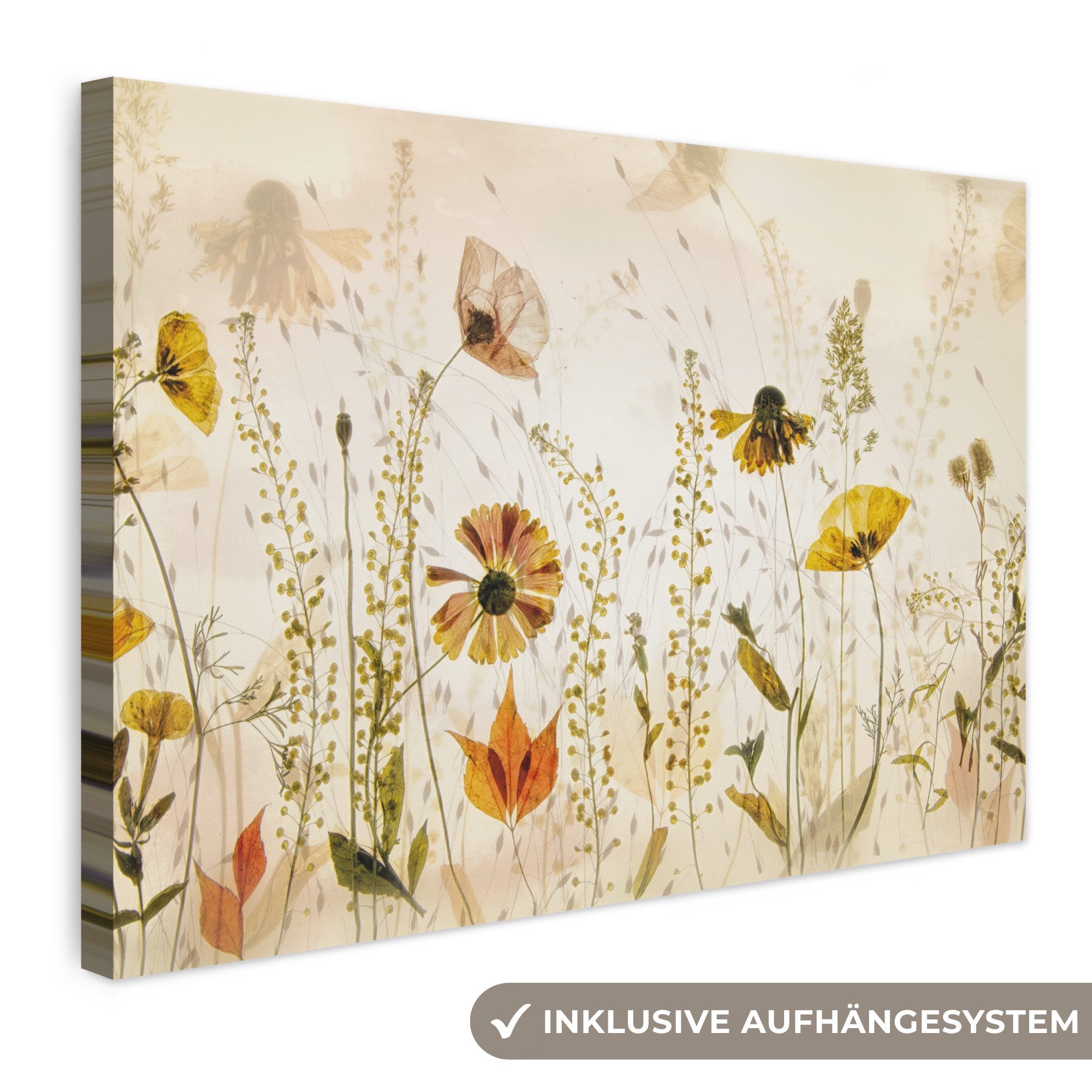 OneMillionCanvasses® Leinwandbild Illustration - Pflanzen - Insekten - Beige, Fotodruck (1 St), Leinwand Bilder Klein, Wand Dekoration Aesthetic 30x20 cm