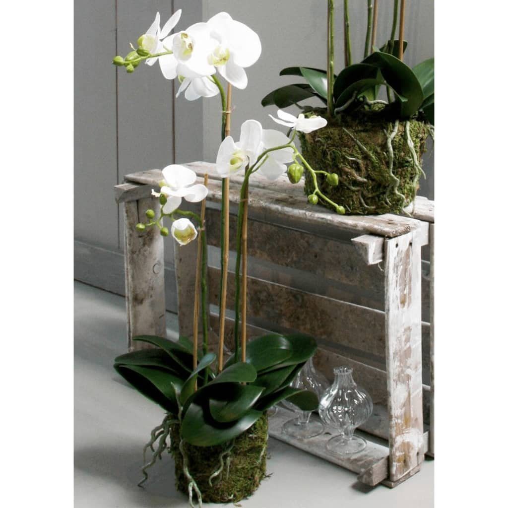 Kunstrasen Künstliche Phalaenopsis-Orchidee Weiß 70 cm, Emerald, Höhe: 70 mm