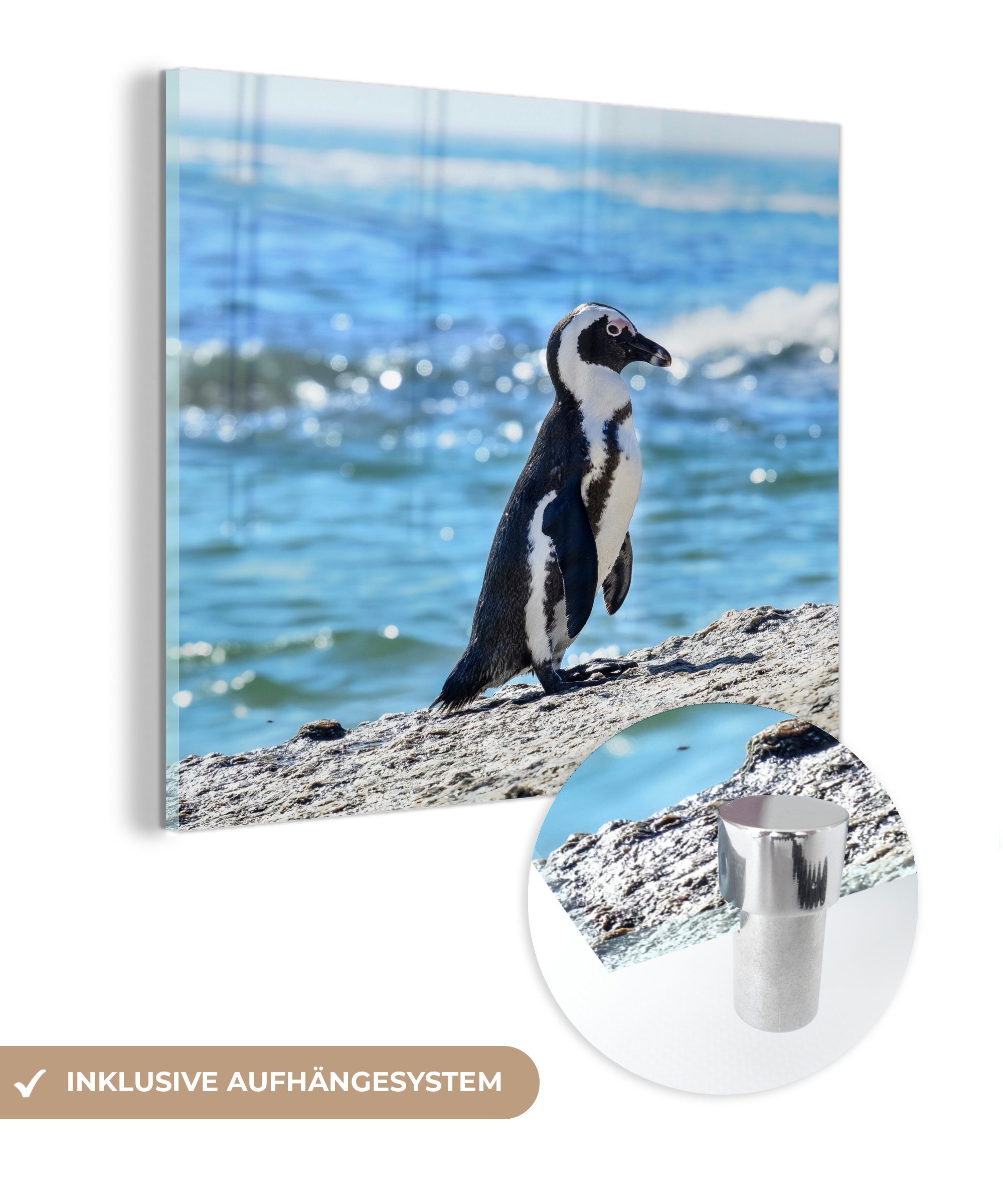 MuchoWow Acrylglasbild Pinguin Glasbilder auf Wandbild St), Glas auf - Bilder Boulders (1 Strand Foto Glas - Beach, am - Wanddekoration von