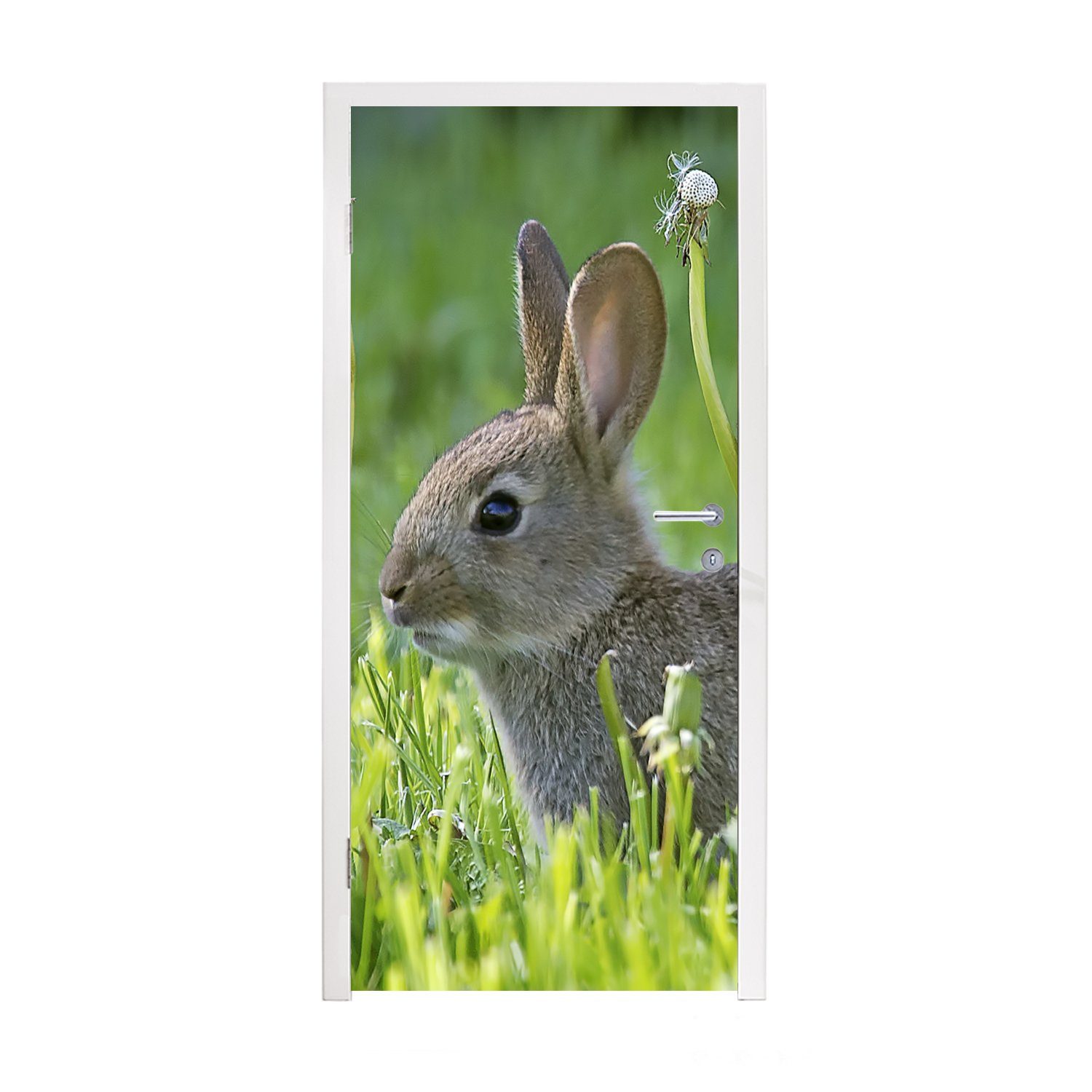 MuchoWow Türtapete Kaninchen - Blumen - Gras, Matt, bedruckt, (1 St), Fototapete für Tür, Türaufkleber, 75x205 cm
