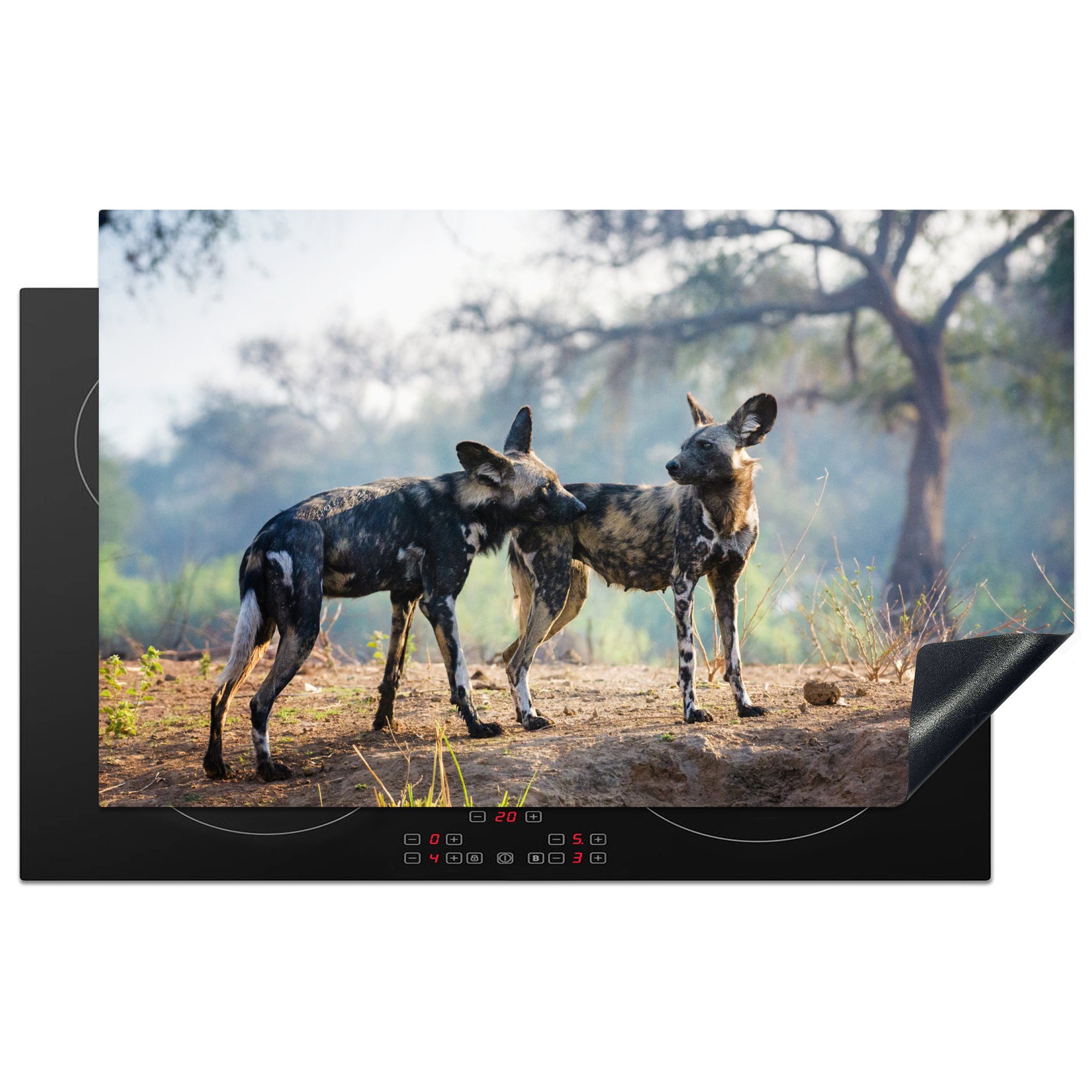 MuchoWow Herdblende-/Abdeckplatte Afrikanischer Wildhund erschnüffelt einen anderen Wildhund, Vinyl, (1 tlg), 83x51 cm, Ceranfeldabdeckung, Arbeitsplatte für küche