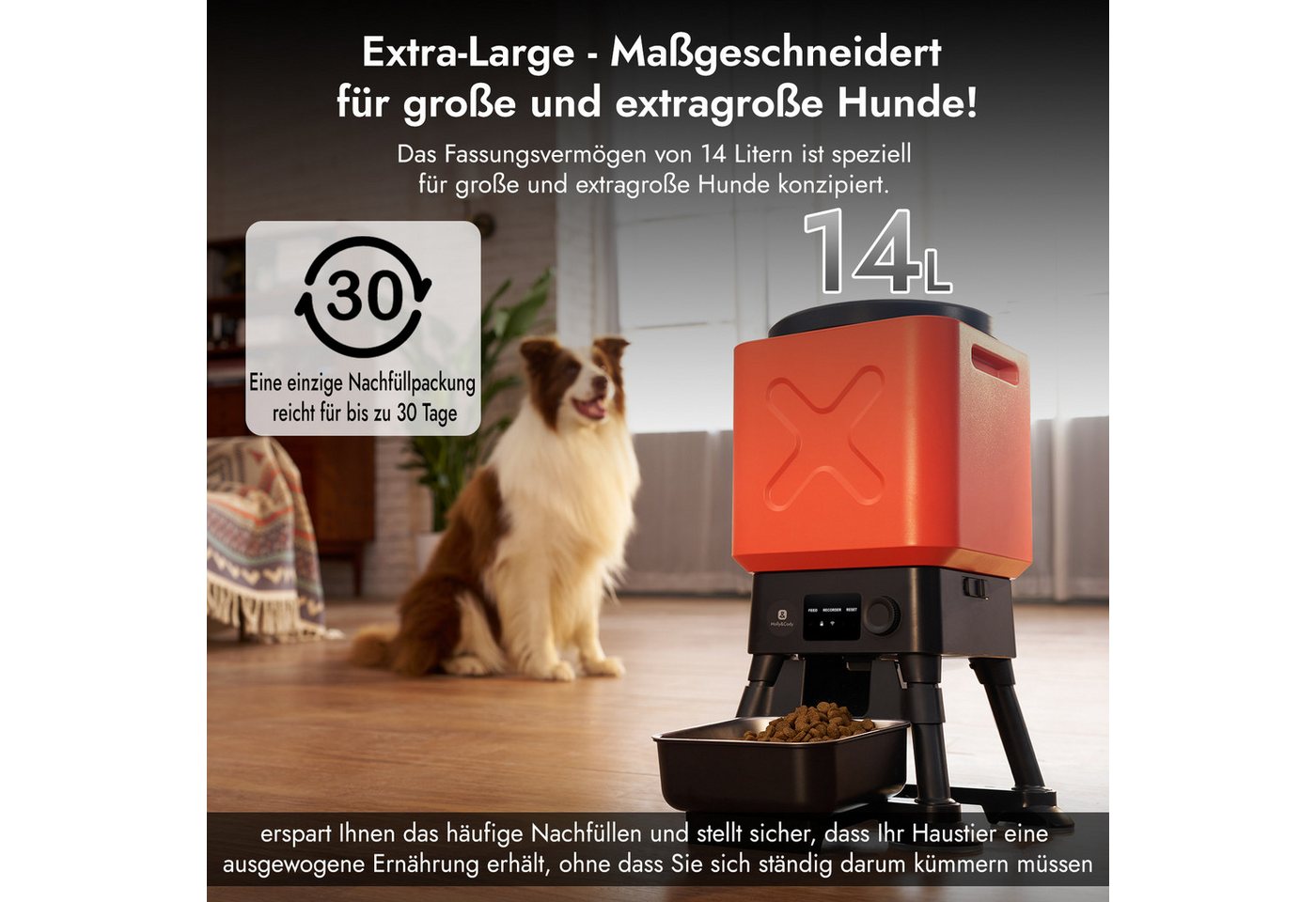 Thumbnail - Molly&Cody Katzen-Futterautomat 14L Automatischer Futterspender für Hunde All-in-One-Design, Anti-Kauen- und Anti-Ziehen...