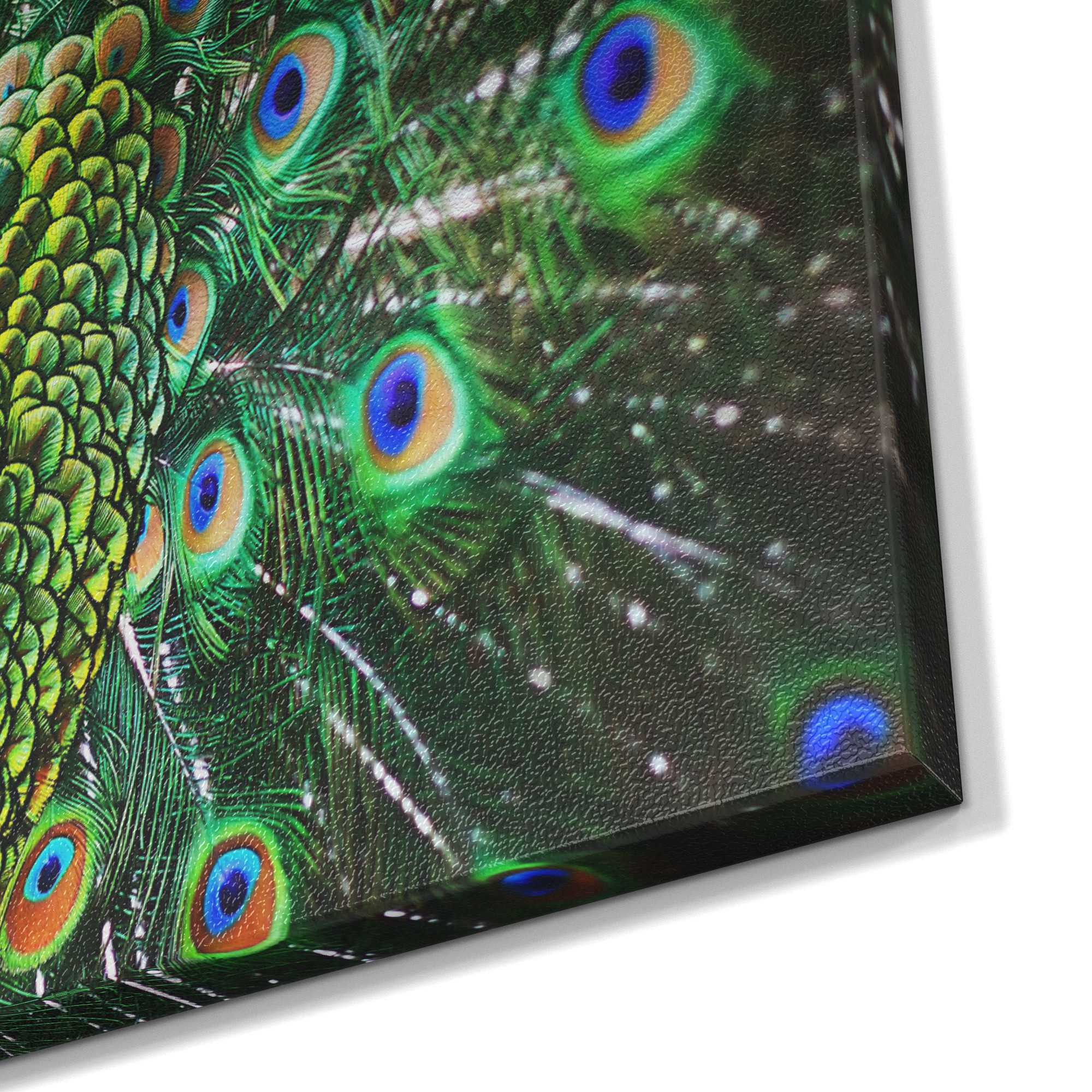 DEQORI Magnettafel 'Schönheit des Gefieders', Metall Whiteboard für alle Magnete, Magnetboard magnetisch