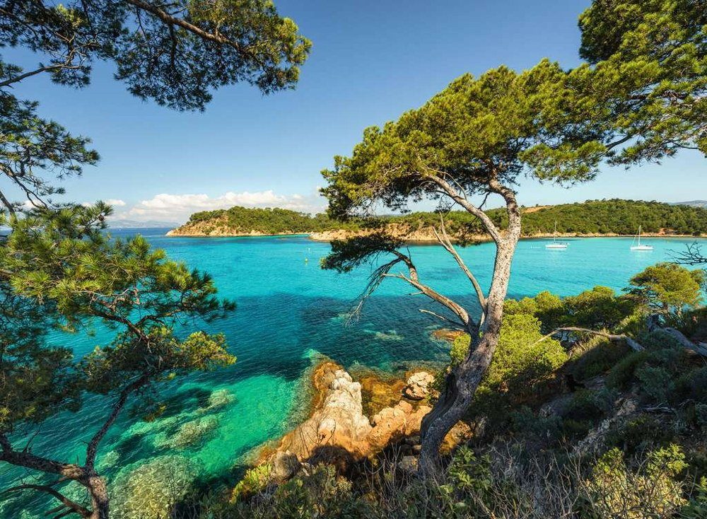 Ravensburger Puzzle 500 Teile Ravensburger Puzzle Schöne Aussicht 16583, 50 günstig online kaufen