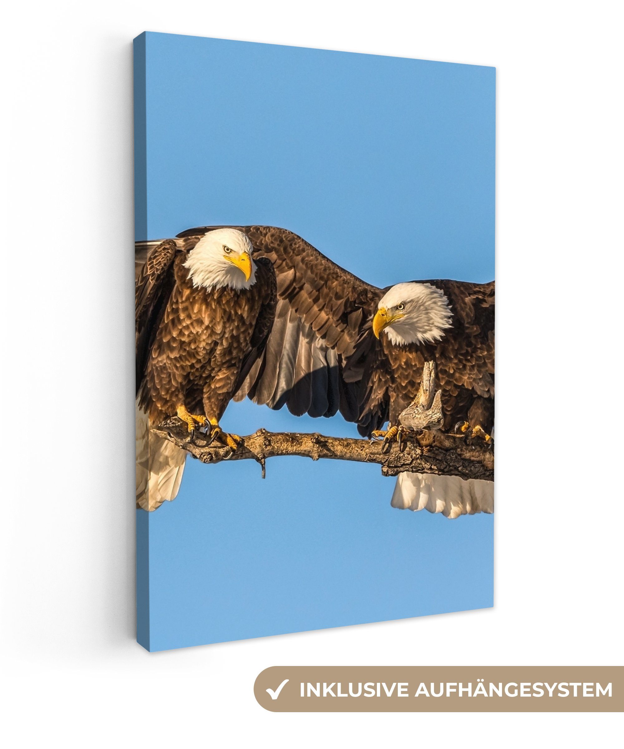 OneMillionCanvasses® Leinwandbild Vogel - Äste - günstig online kaufen