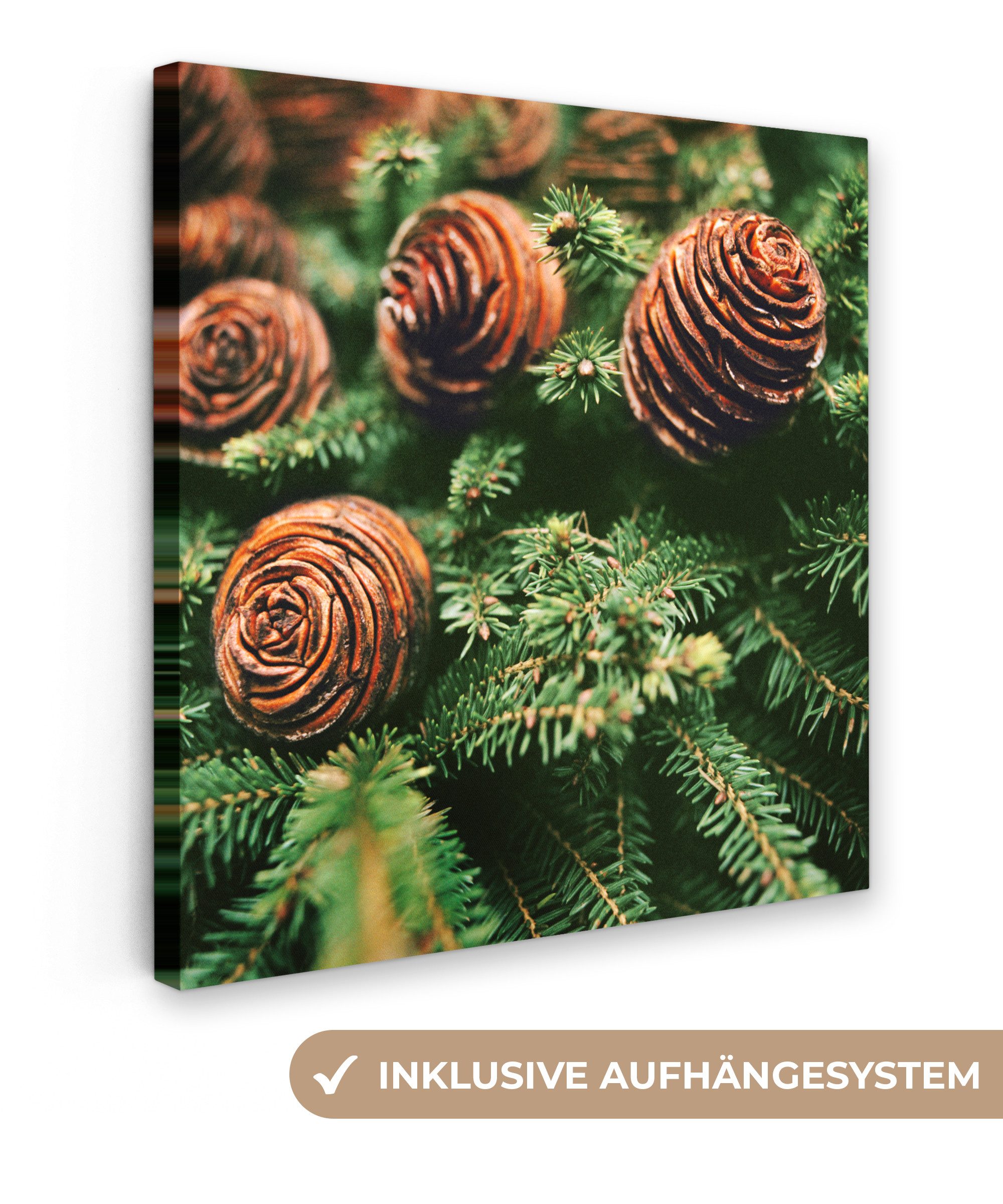 OneMillionCanvasses® Leinwandbild Eine Nahaufnahme von Tannenzapfen am Weihnachtsbaum, Fotodruck (1 St), Wandbild, Deko Schlafzimmer Wohnzimmer Flur 20x20 cm