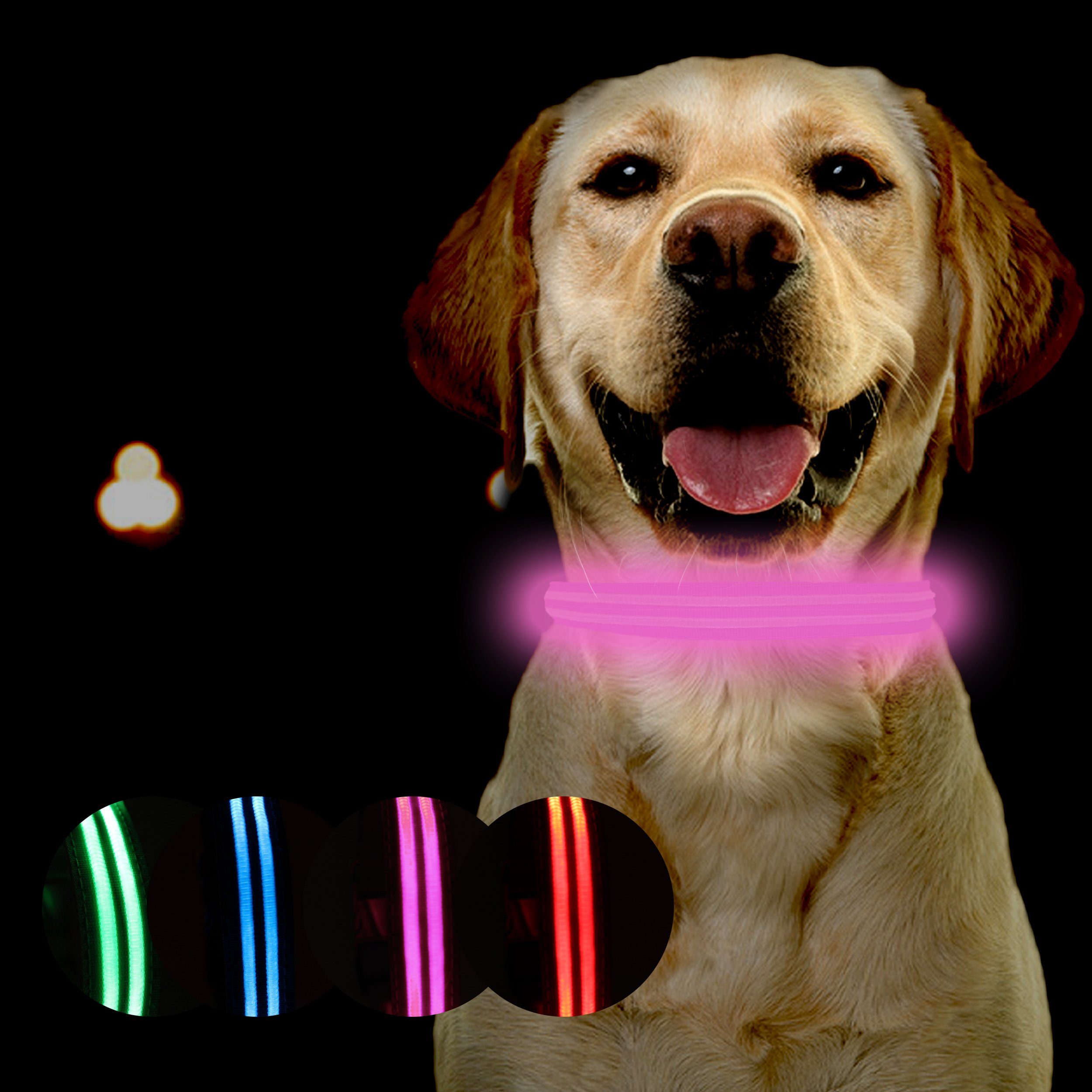 Petsation Hunde-Halsband Leuchthalsband für Hunde [Das Original] Leuchtendes LED Hundehalsband