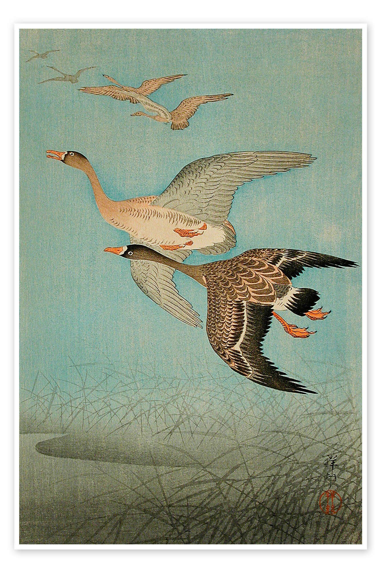 Poster Ohara Koson