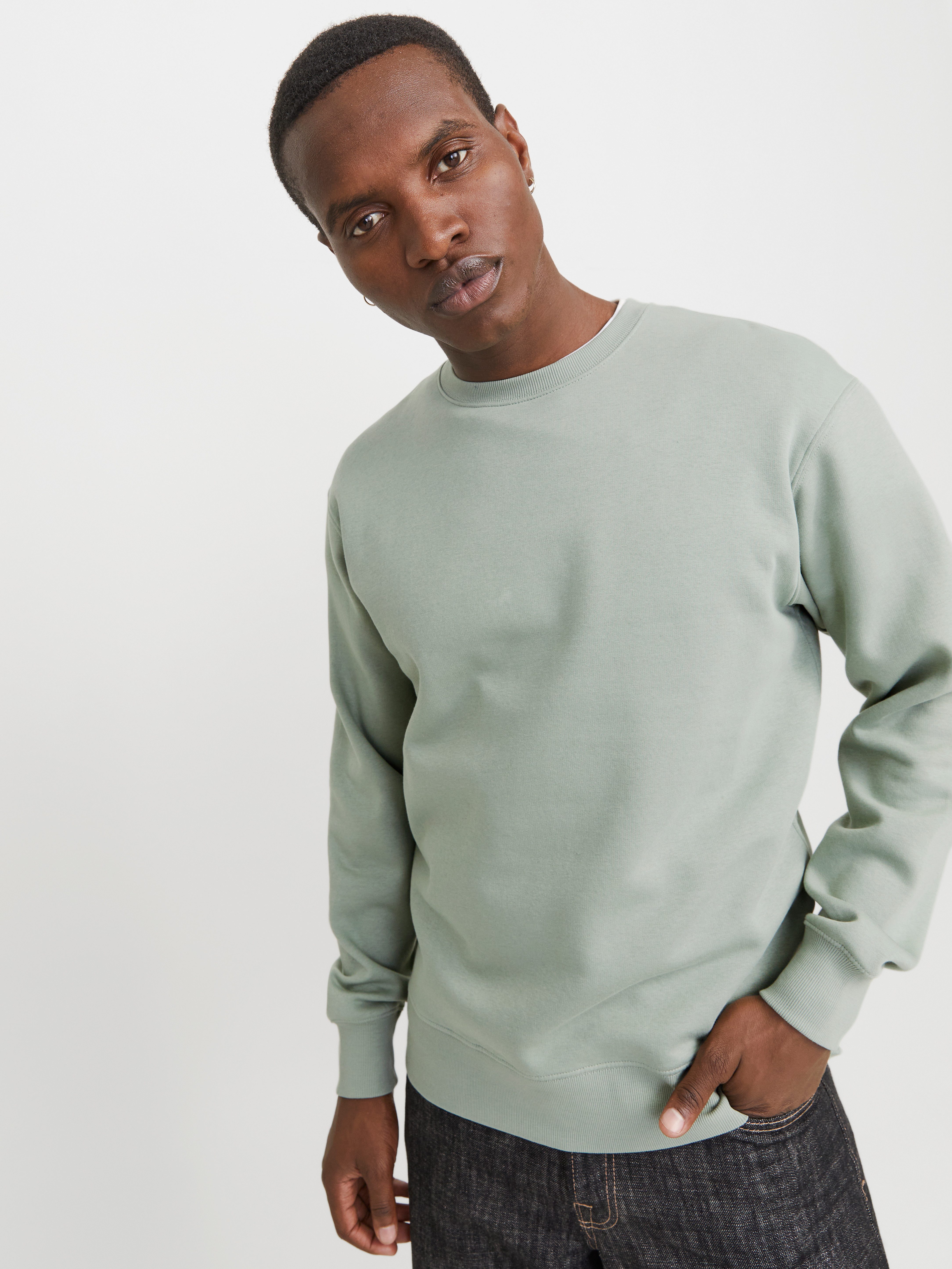 Jack & Jones Sweatshirt JJESTAR BASIC günstig online kaufen