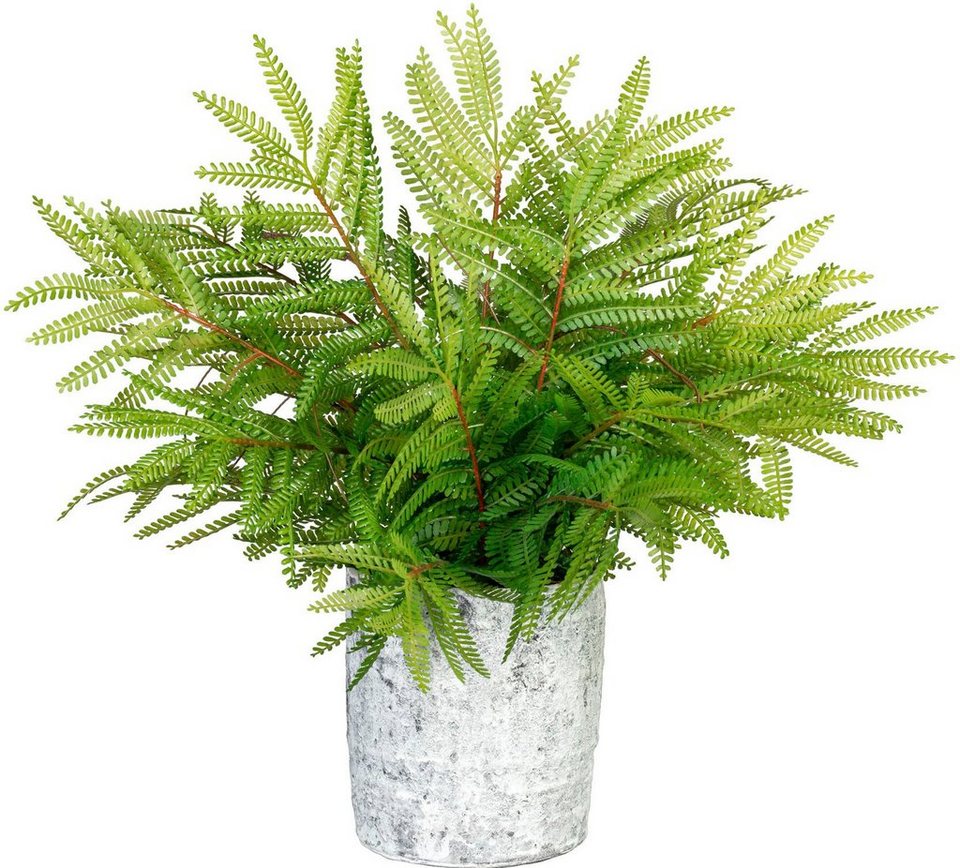 Kunstpflanze Farn Farn, Creativ green, Höhe 36 cm