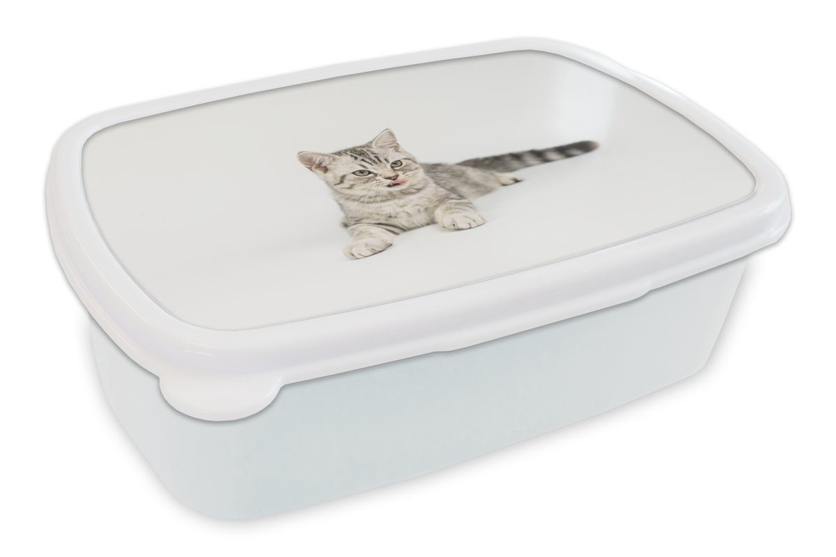 MuchoWow Lunchbox Kitten - Weiß - Sohle - Mädchen - Kinder - Jungen - Kind, Kunststoff, (2-tlg), Brotbox für Kinder und Erwachsene, Brotdose, für Jungs und Mädchen