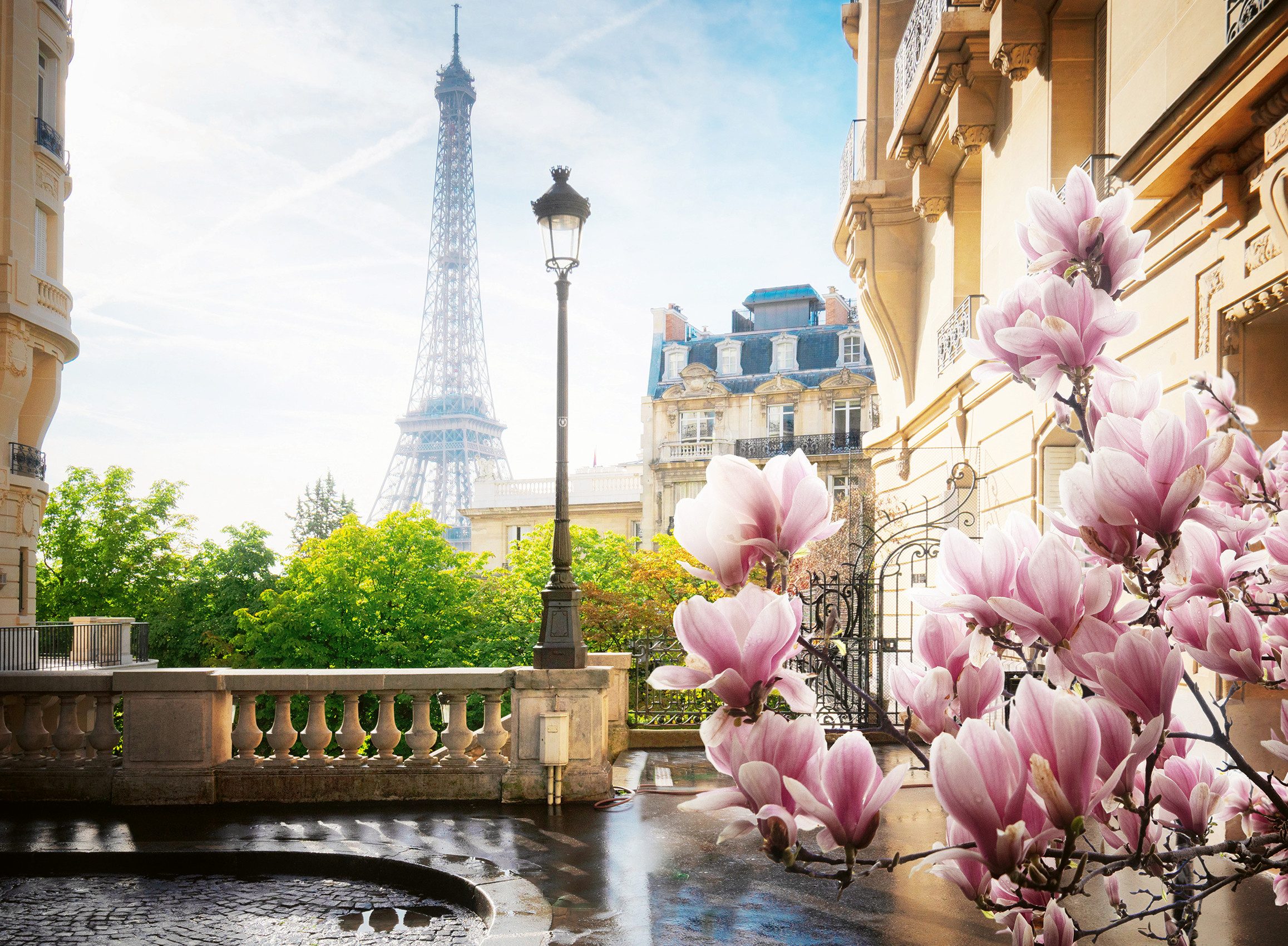 Ravensburger Puzzle Frühling in Paris, 500 günstig online kaufen