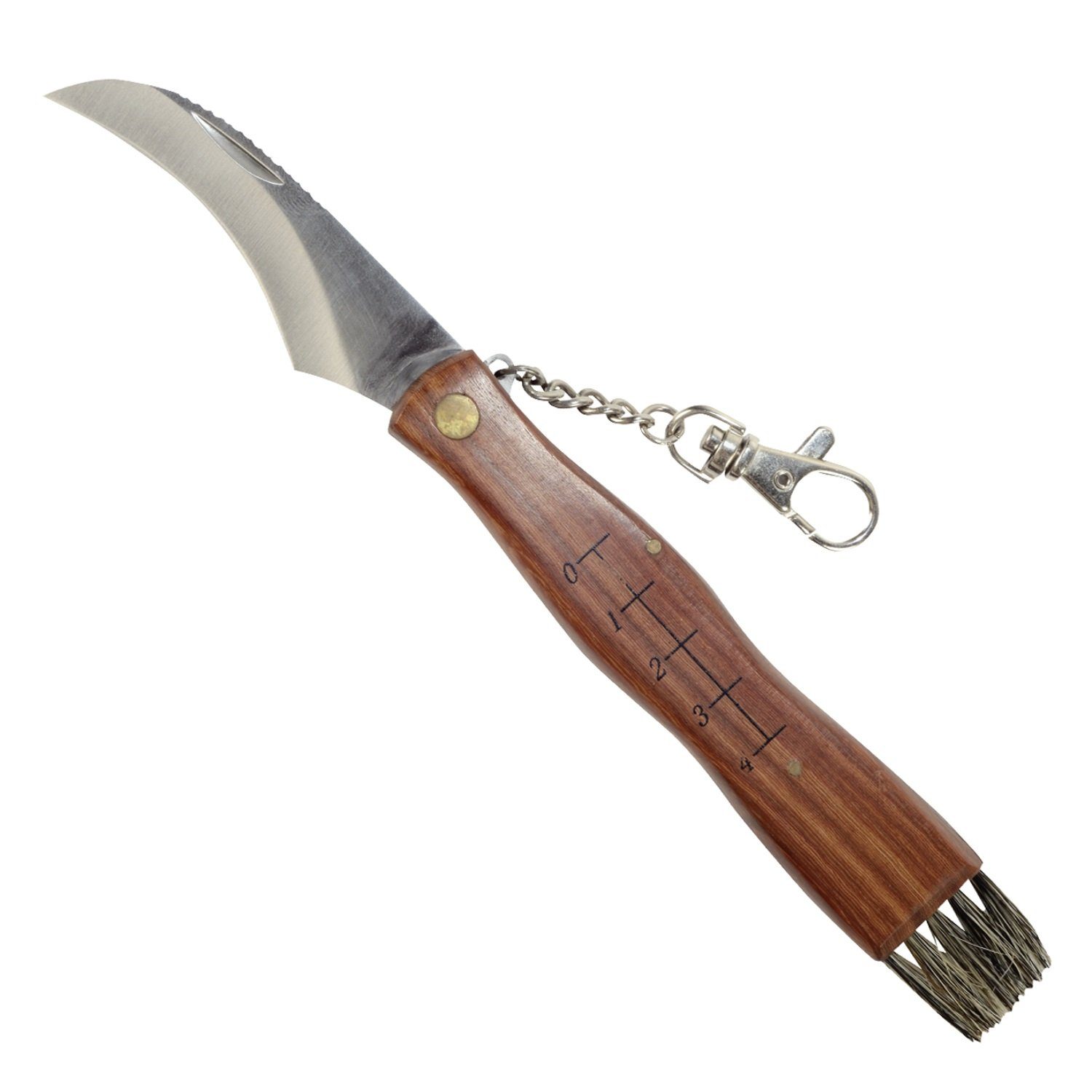 Greenmill Taschenmesser GR5040 Pilzmesser mit Bürste und Lineal 21cm, für Pilzsammler, Edelstahl Pilzmesser mit Pinsel, Lineal u. Anhänger